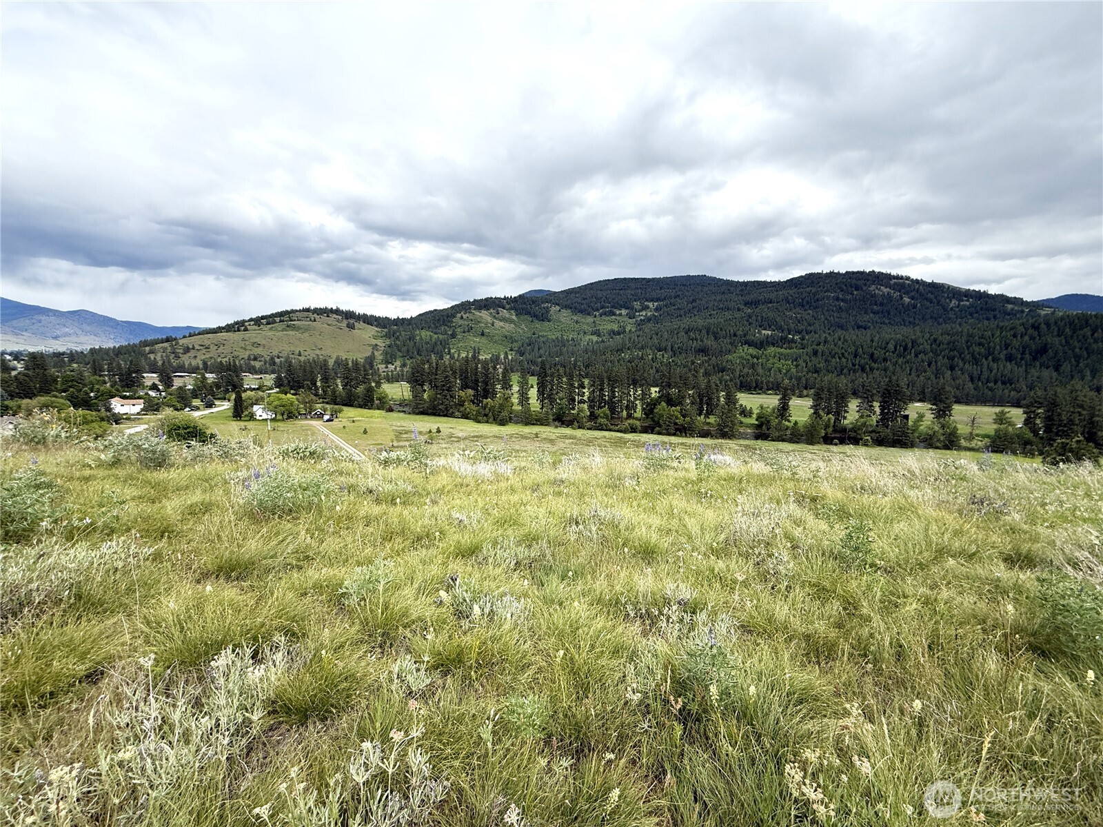 19109 Highway 21 Property Photo 1