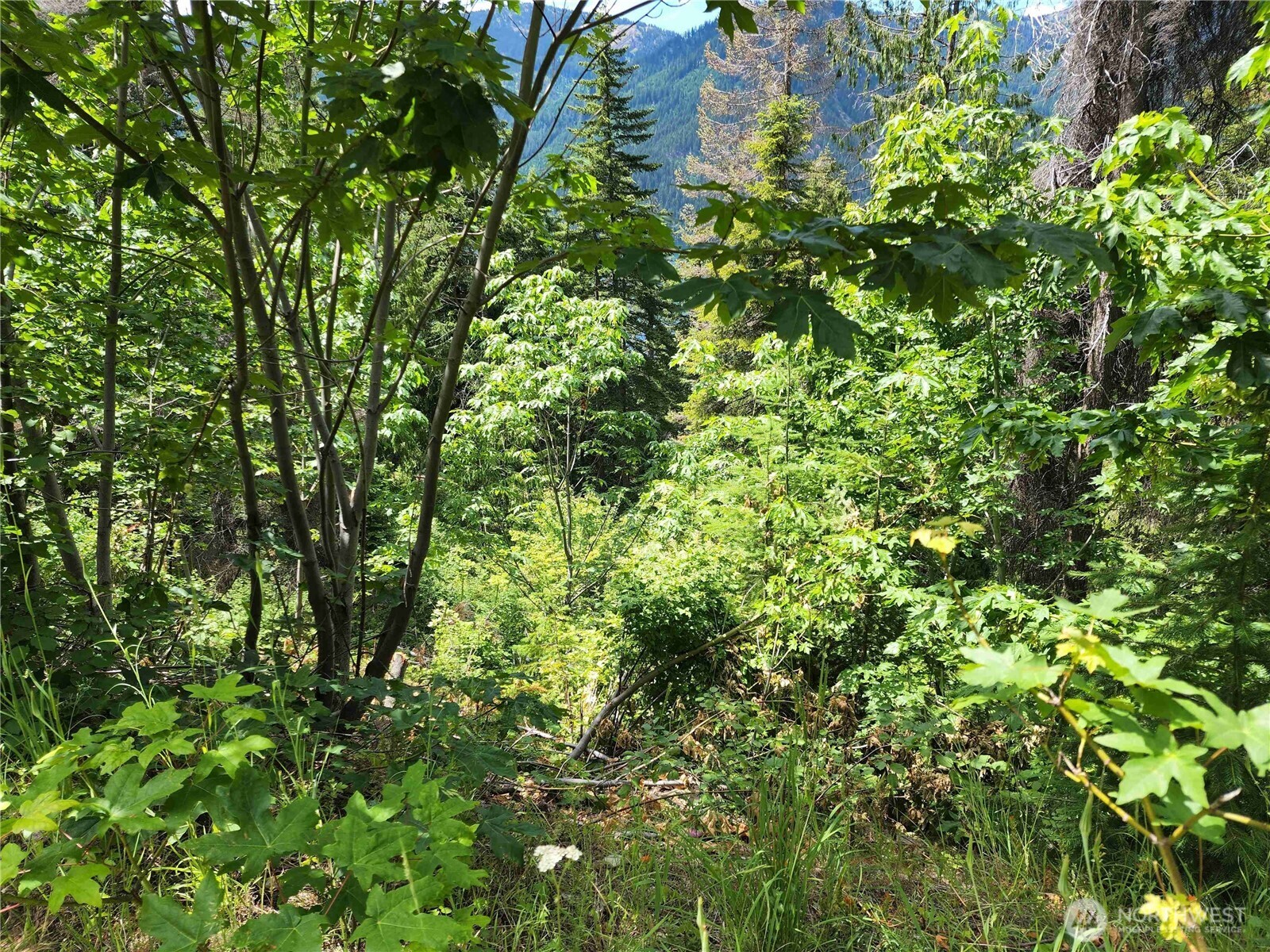 7 Newport Creek Loop Property Photo 5