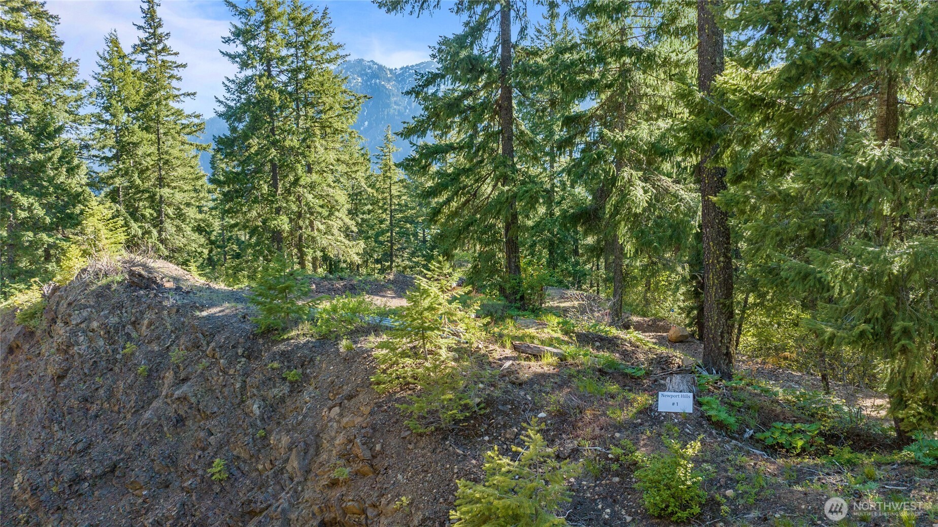 1 Newport Creek Loop Property Photo 4