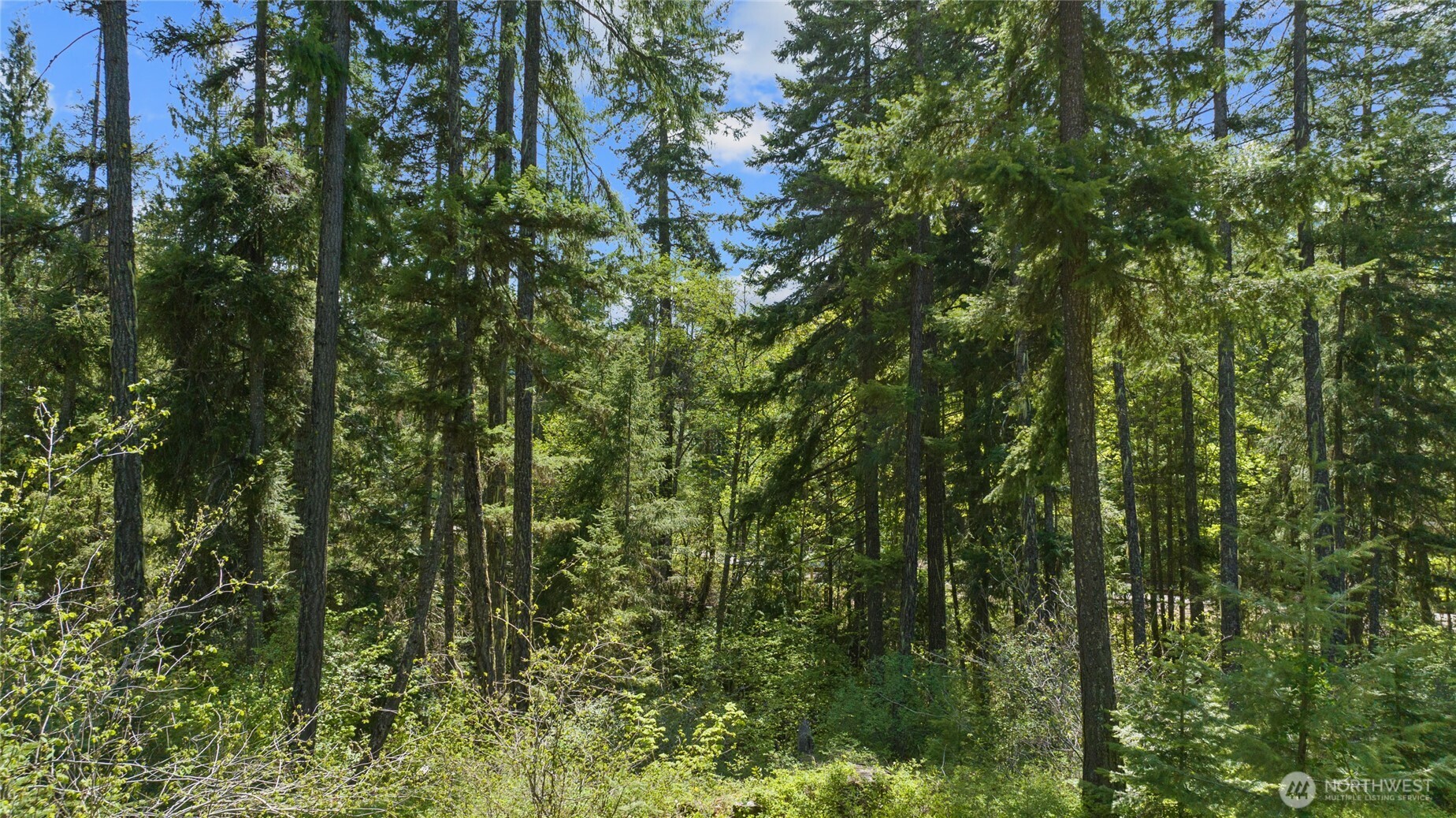9 Salmon La Sac Highway Property Photo 3