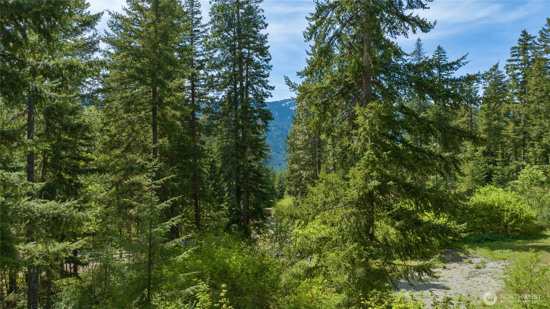 9 Salmon La Sac Highway Property Photo 5