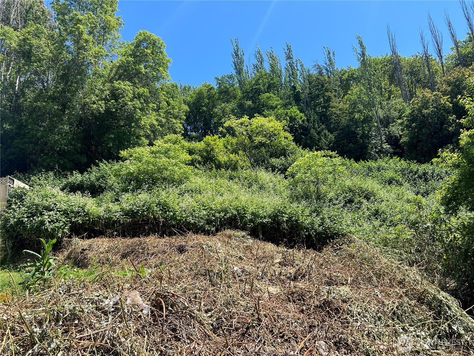 79 XX Military Road Property Photo 1