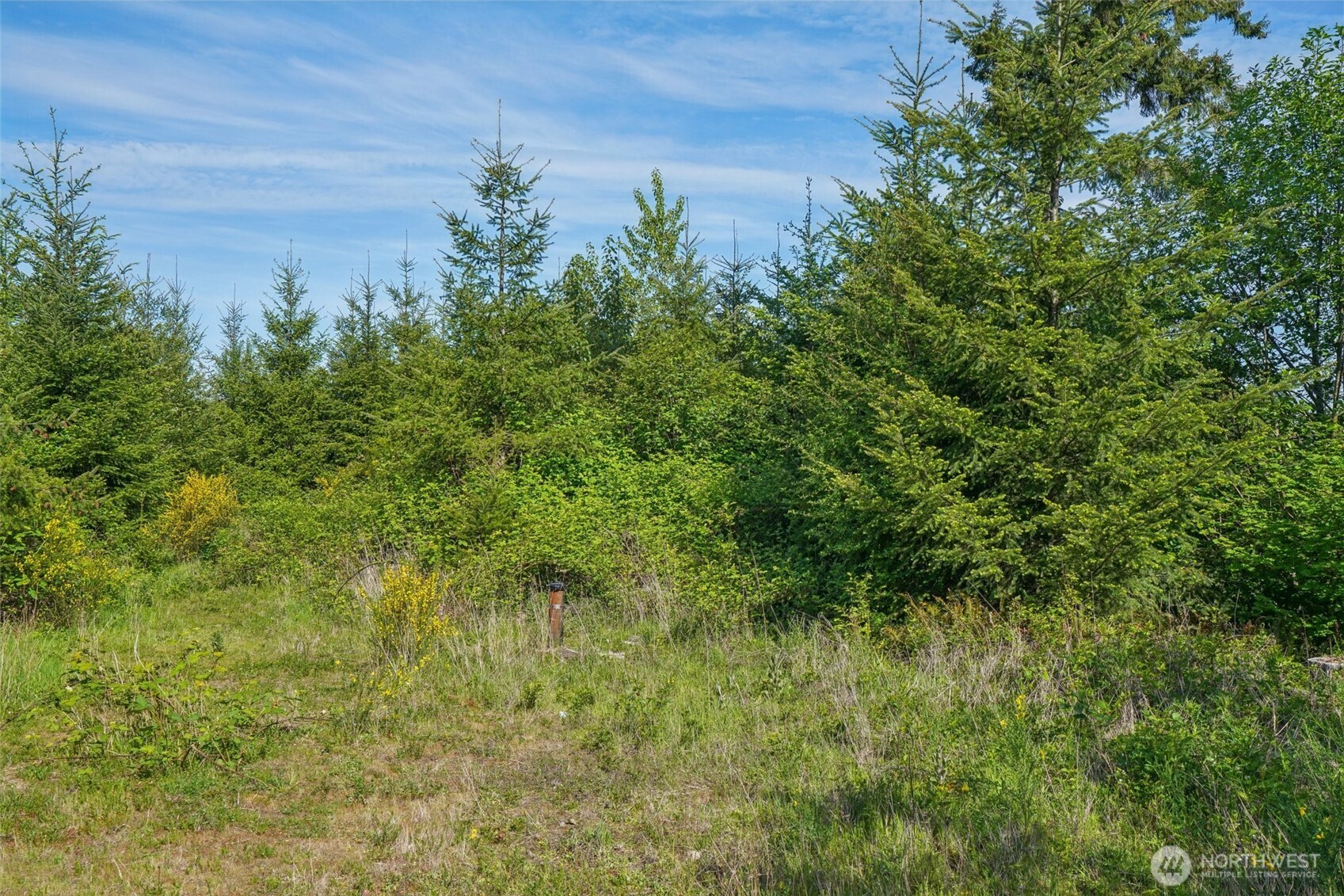 143 Bootjack Lane Lot 2 Property Photo 1