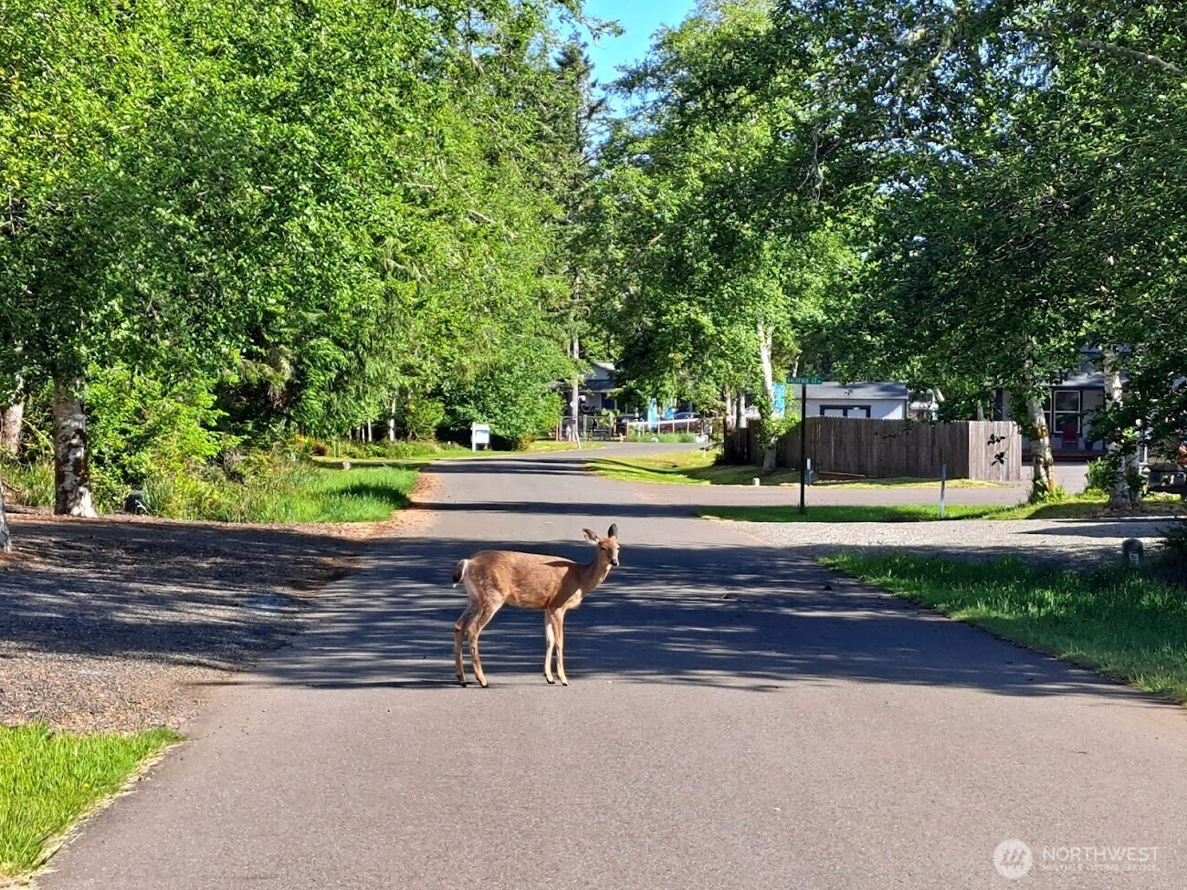 729 Wood Duck Avenue Property Photo 10