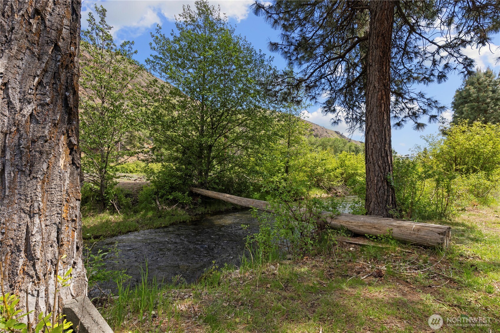 51 Deer Meadow Lane Property Photo 35