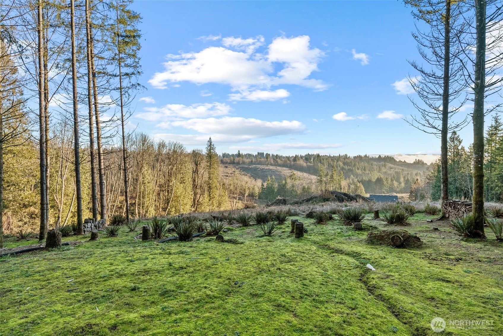 125 Whippoorwill Lane Property Photo 36