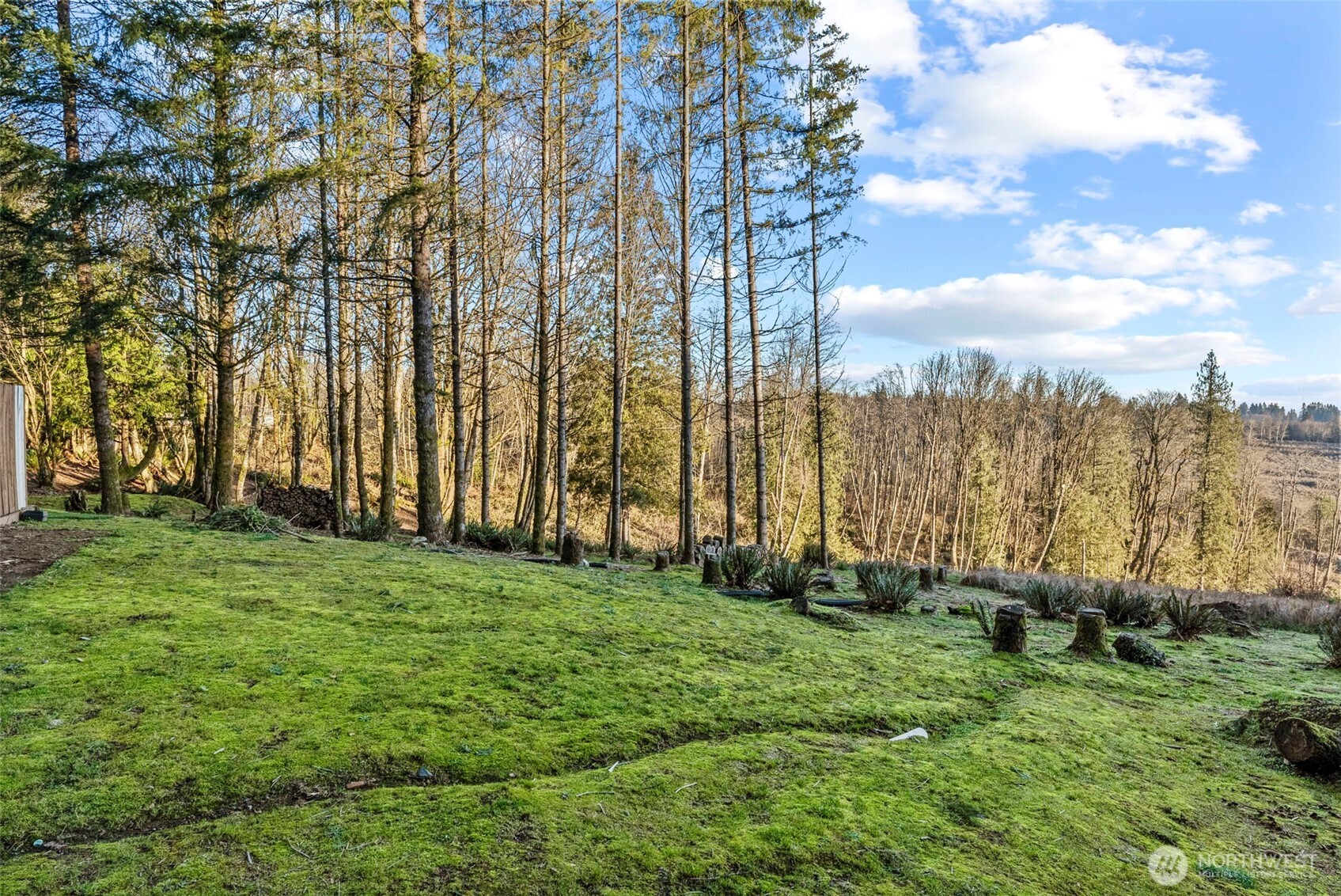 125 Whippoorwill Lane Property Photo 37