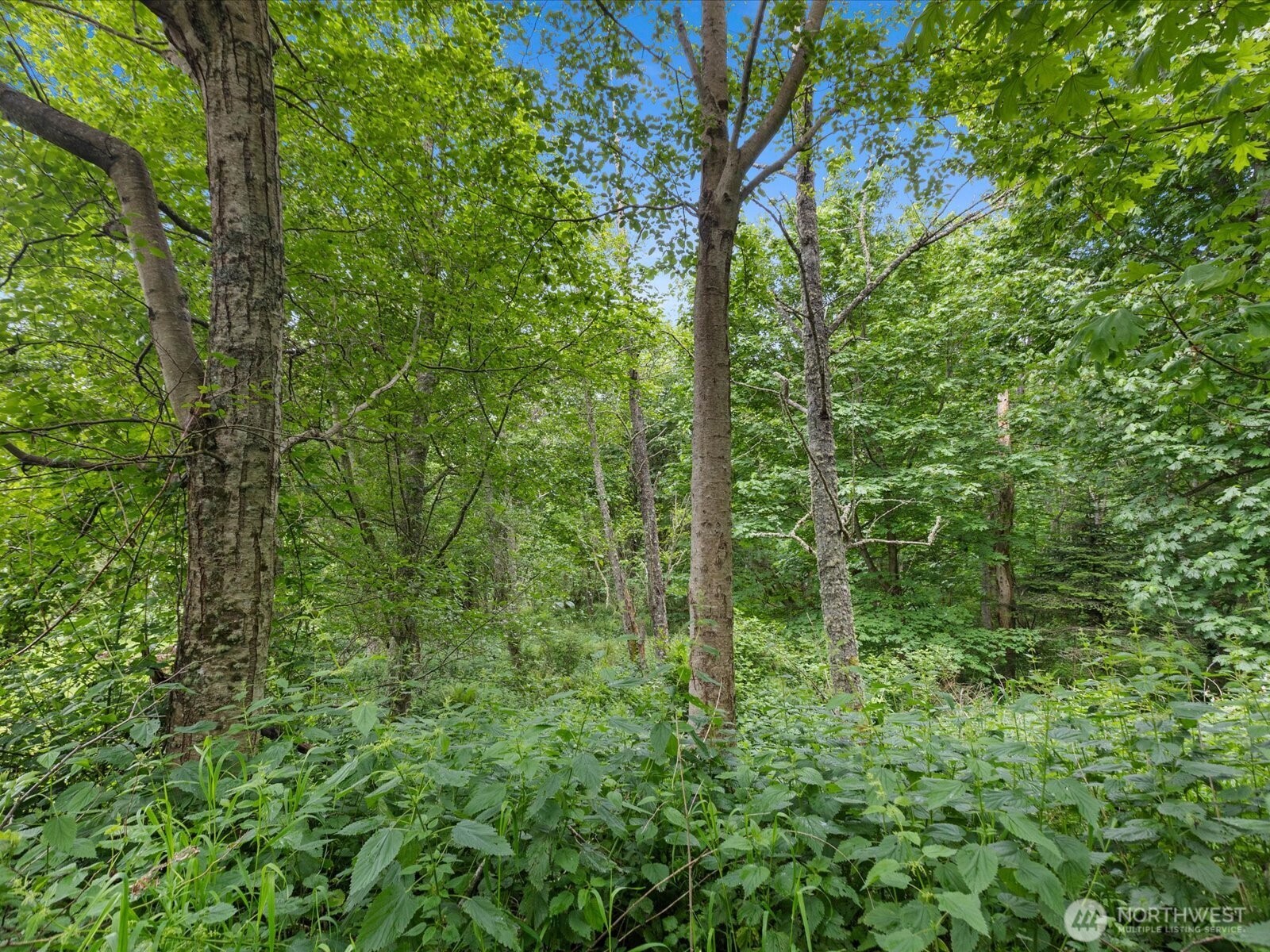 4061 Eagle Ridge Drive Property Photo 1