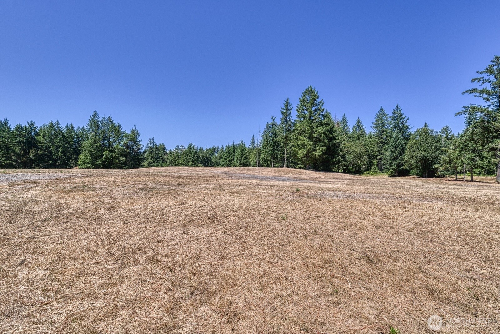 2704 131st Street Property Photo 9