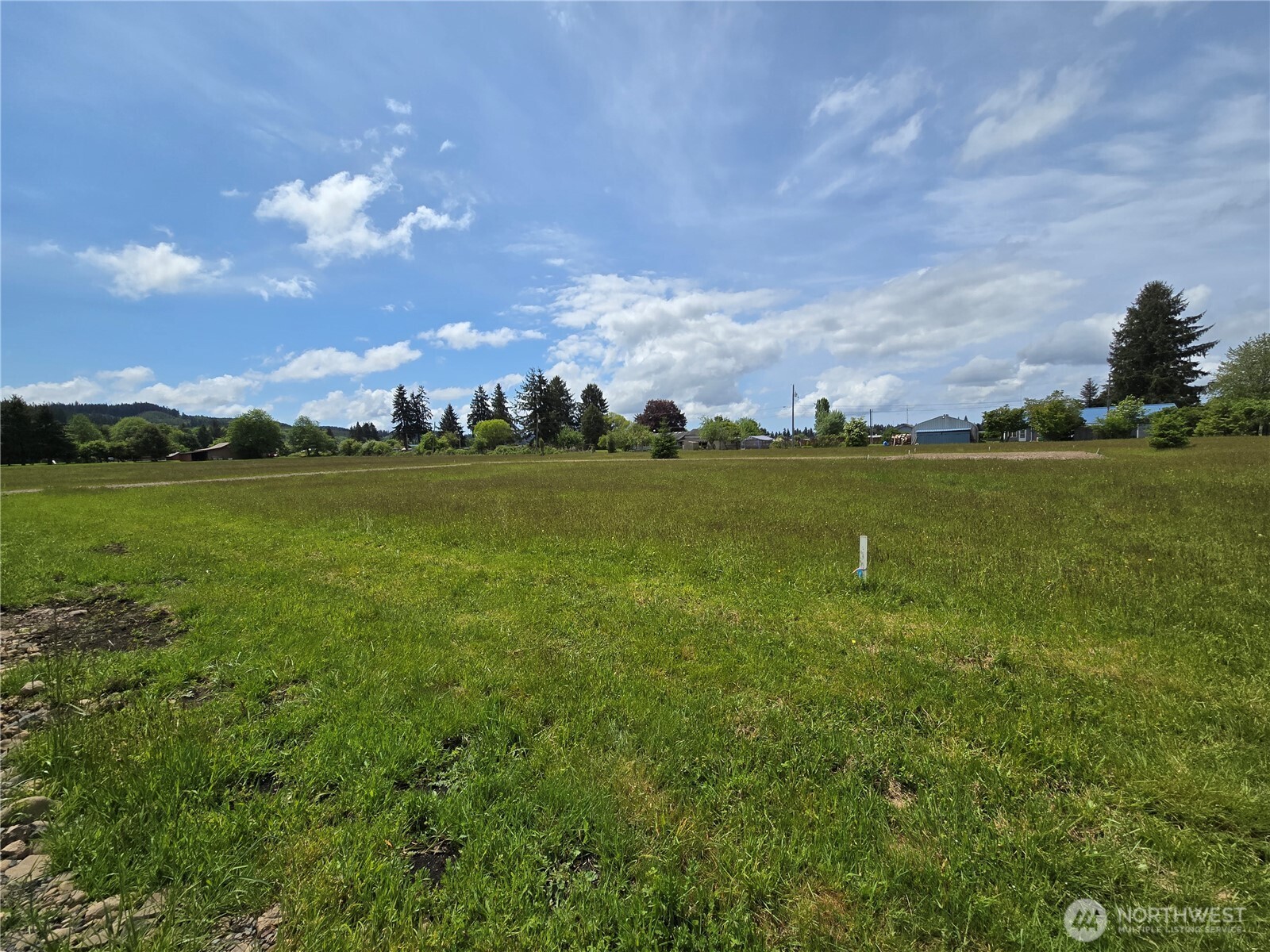 9994 Two Cousins Drive Property Photo 1