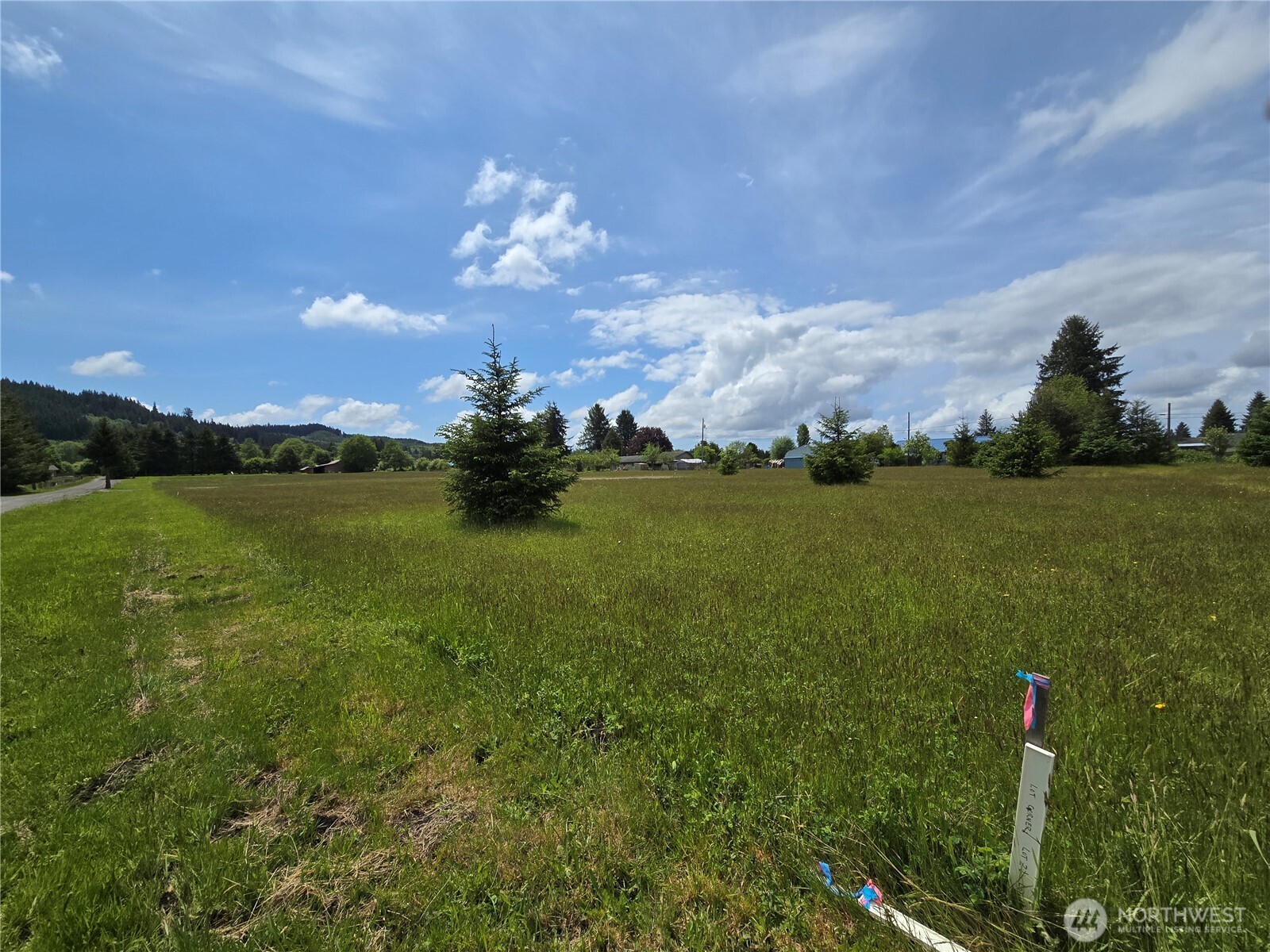 9996 Two Cousins Drive Property Photo 1