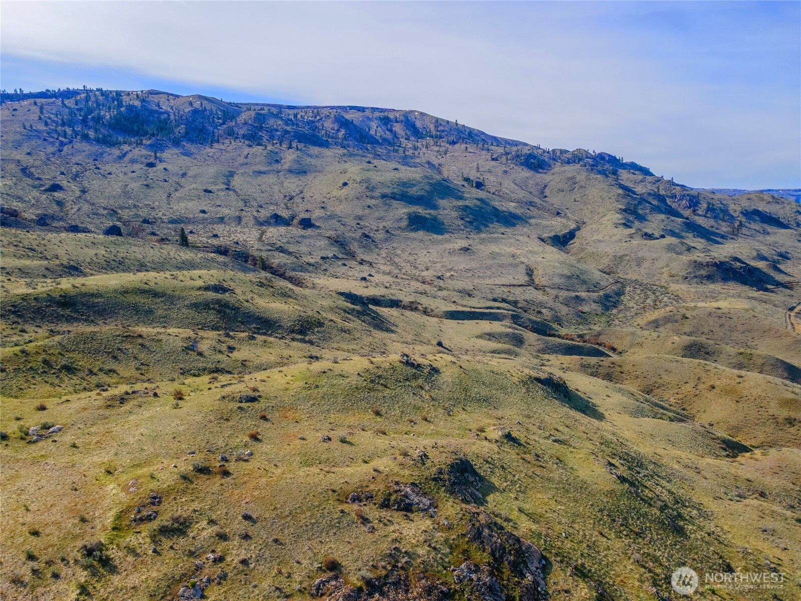 0 Tract 3 Mcneil Canyon Rd Property Photo 26