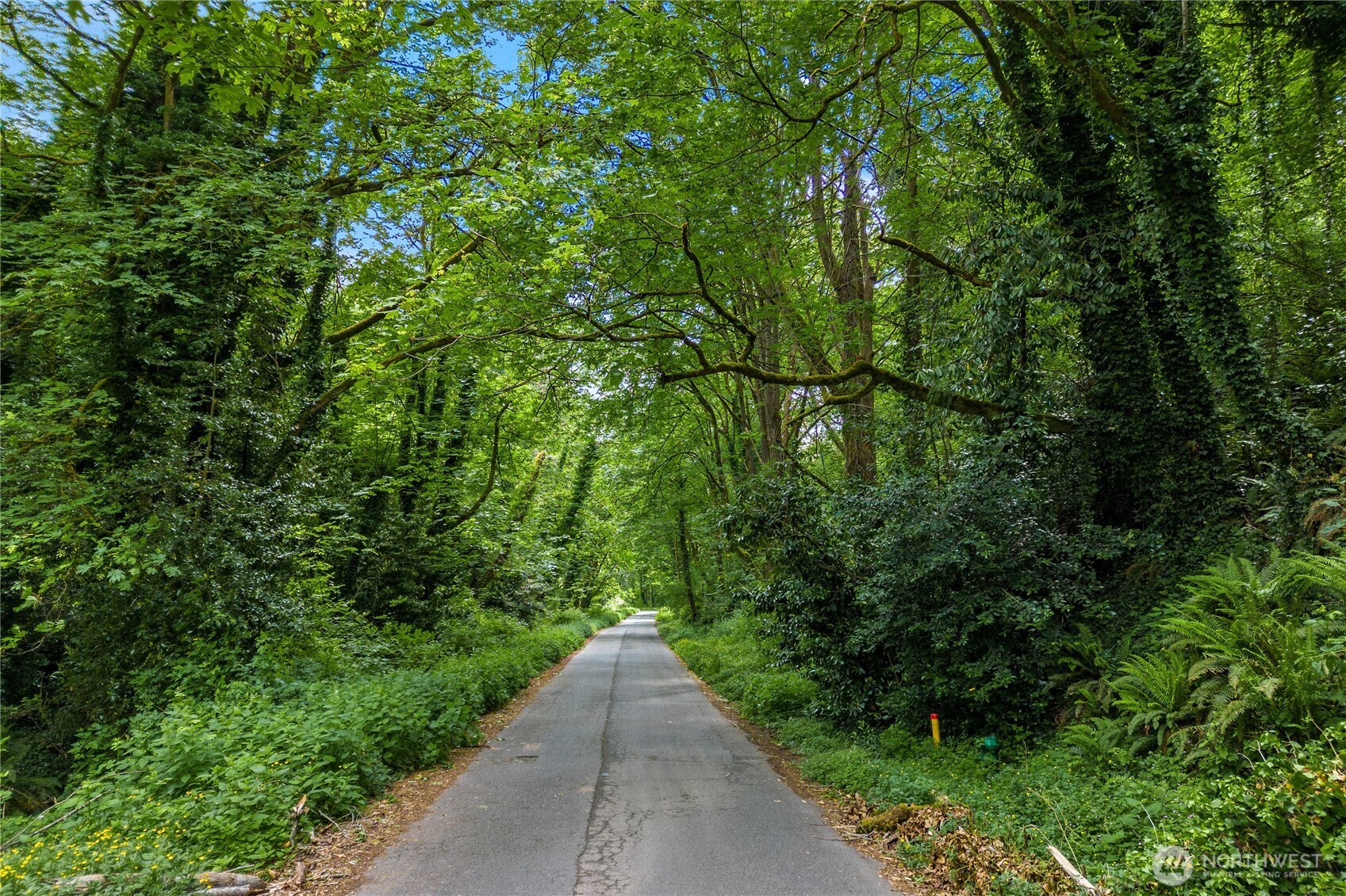 11130 Seola Beach Drive Property Photo 40