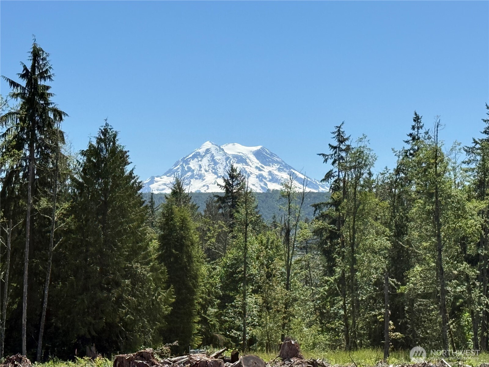 29555 150th Avenue Property Photo 1