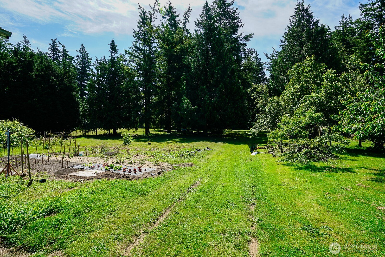 1245 W Axton Road Property Photo 9