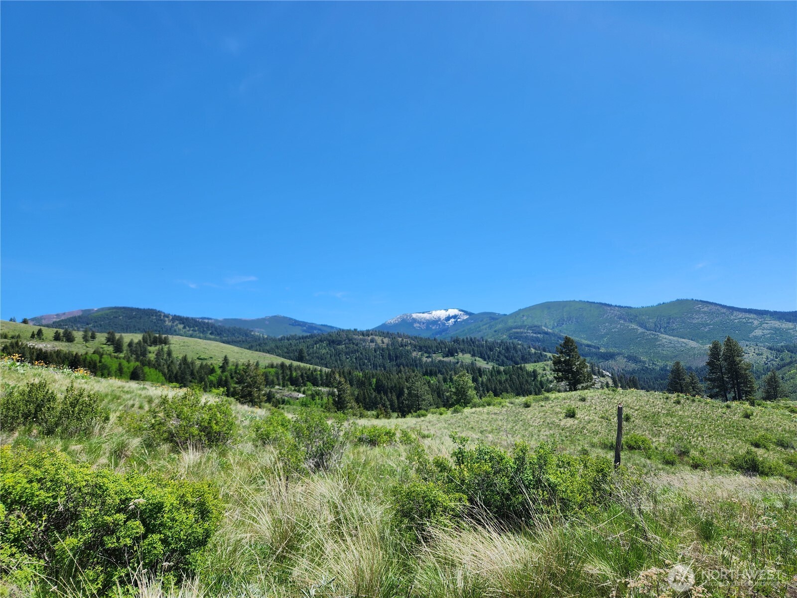 12 Dignity Ranch Road Property Photo 1