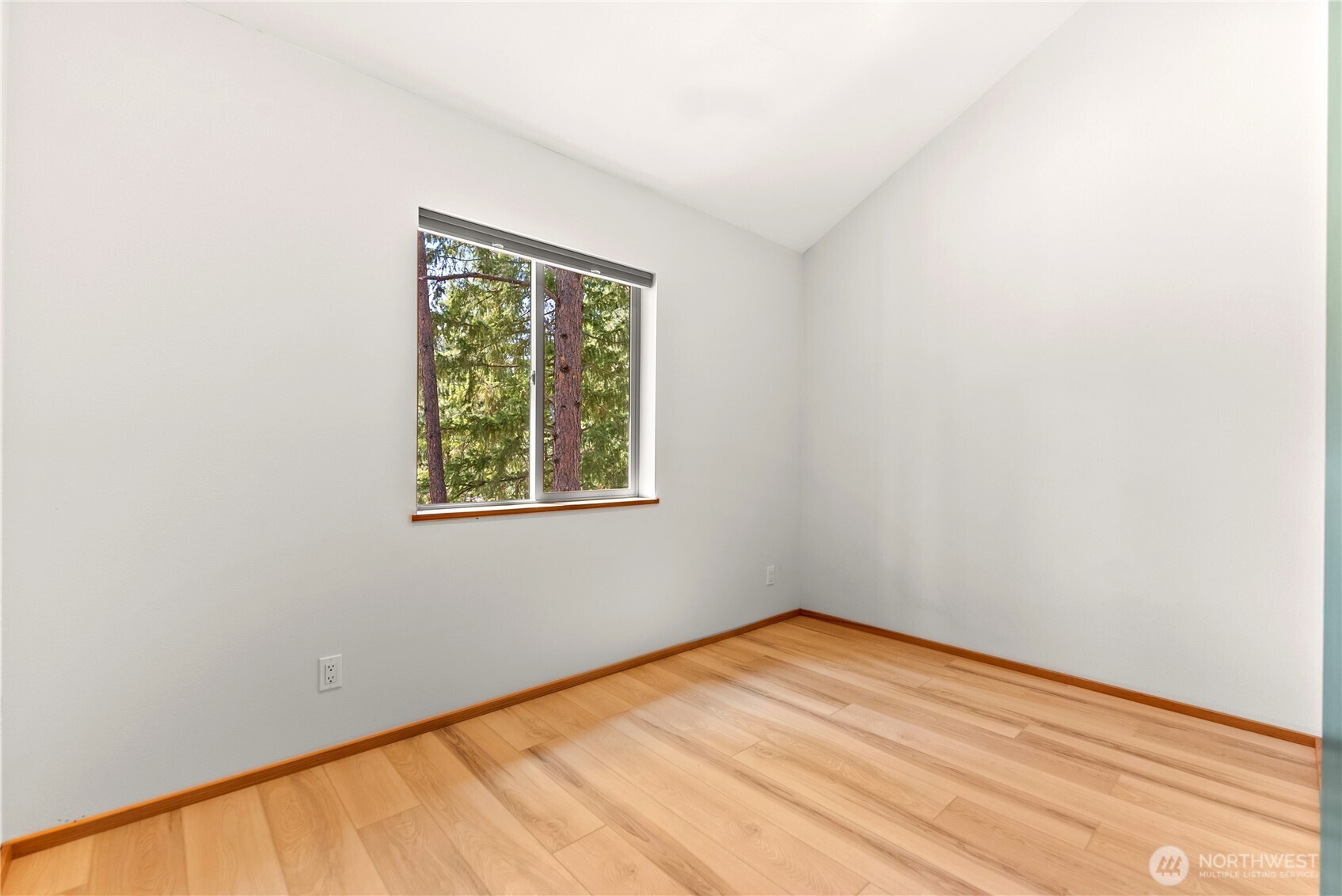 78 Homestead Road Property Photo 33