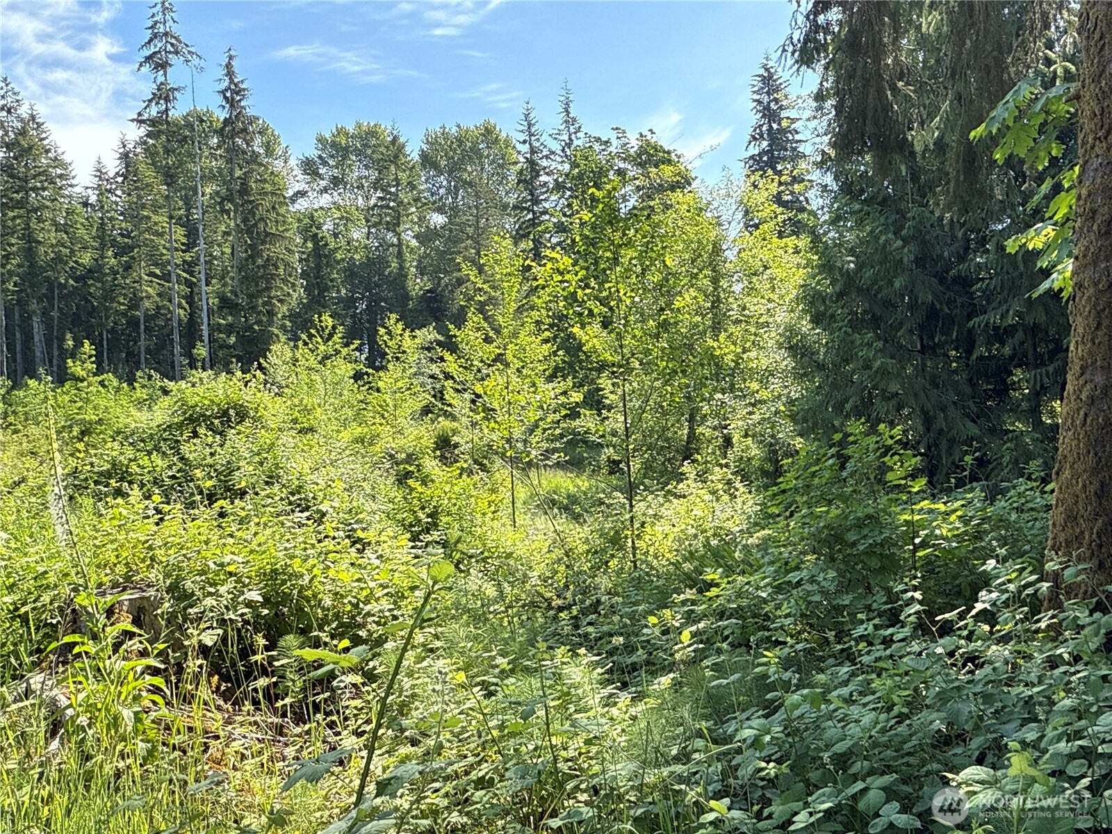 17 Xxx Jim Creek Road Property Photo 1