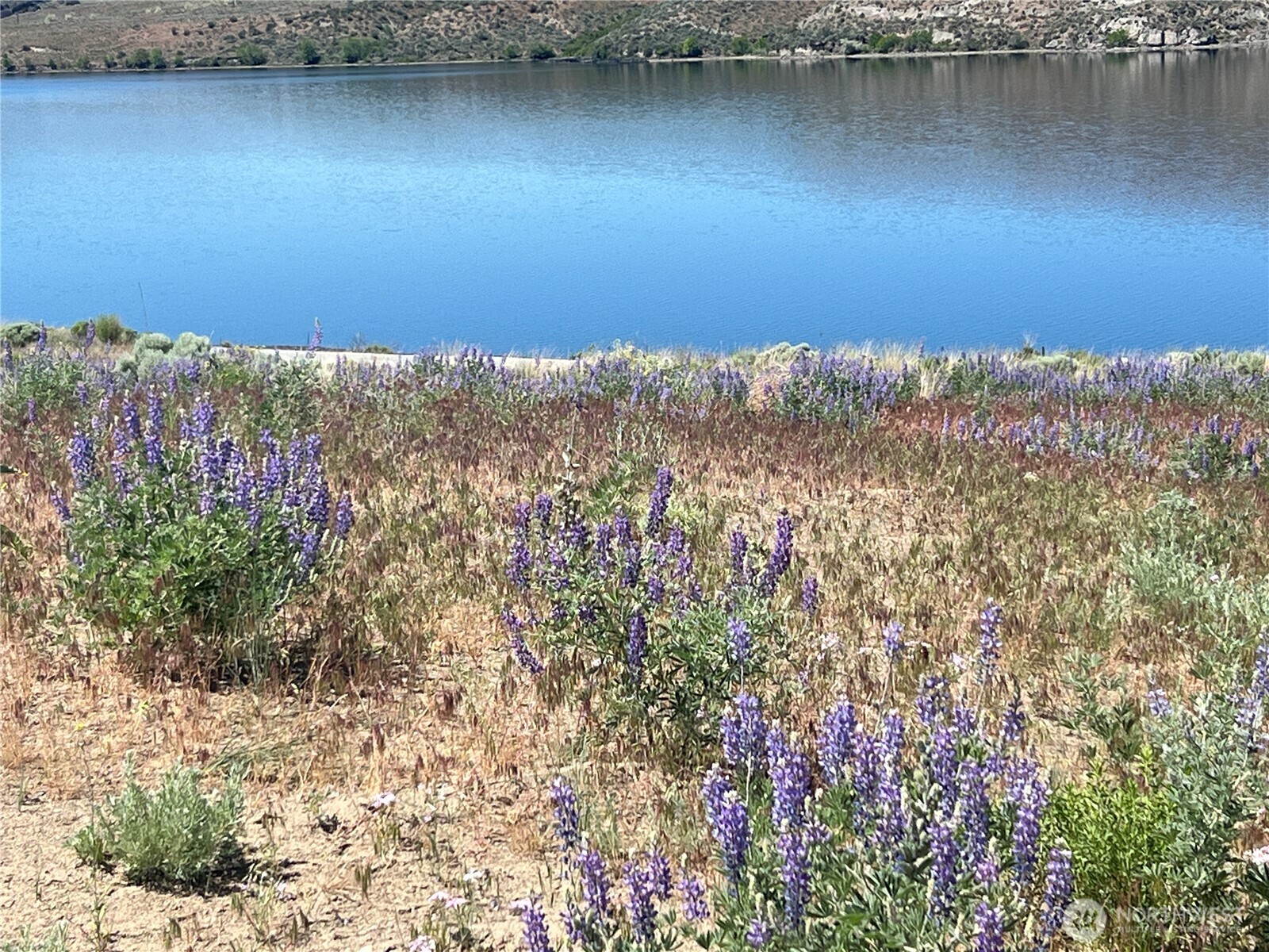 8 Old Highland Orchard Rd. Property Photo 8