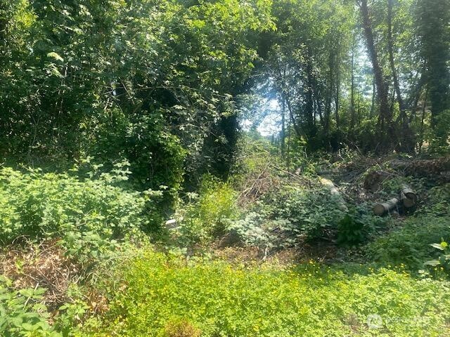 0 Arrowsmith Avenue Property Photo 2