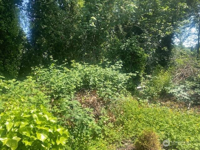 0 Arrowsmith Avenue Property Photo 3