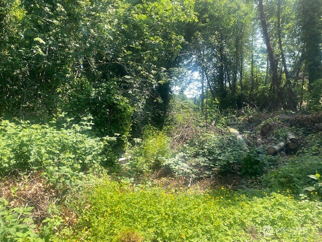 0 Arrowsmith Avenue Property Photo 4