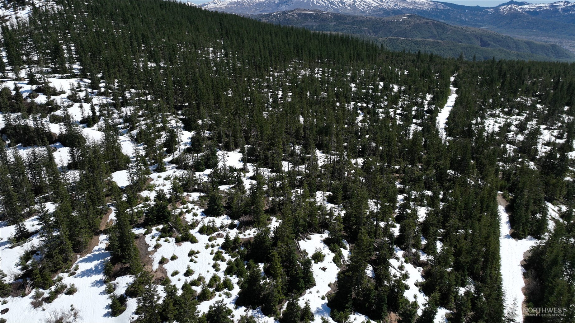 0 Spirit Lake Hwy Property Photo 11
