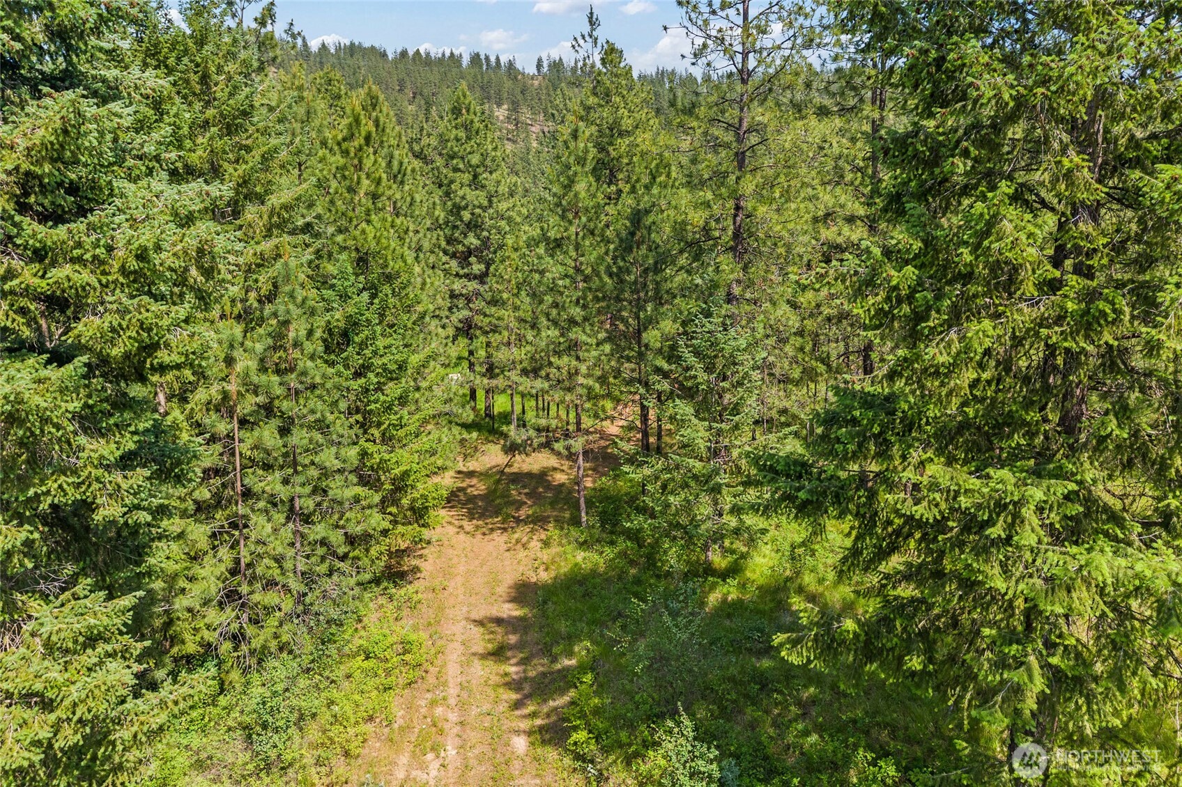 5491 Sailor Road M Property Photo 7