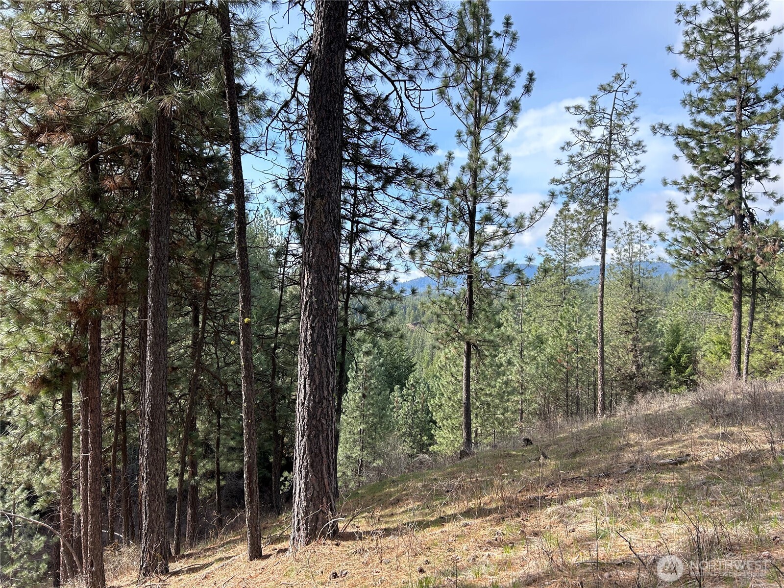 5491 Sailor Road M Property Photo 20