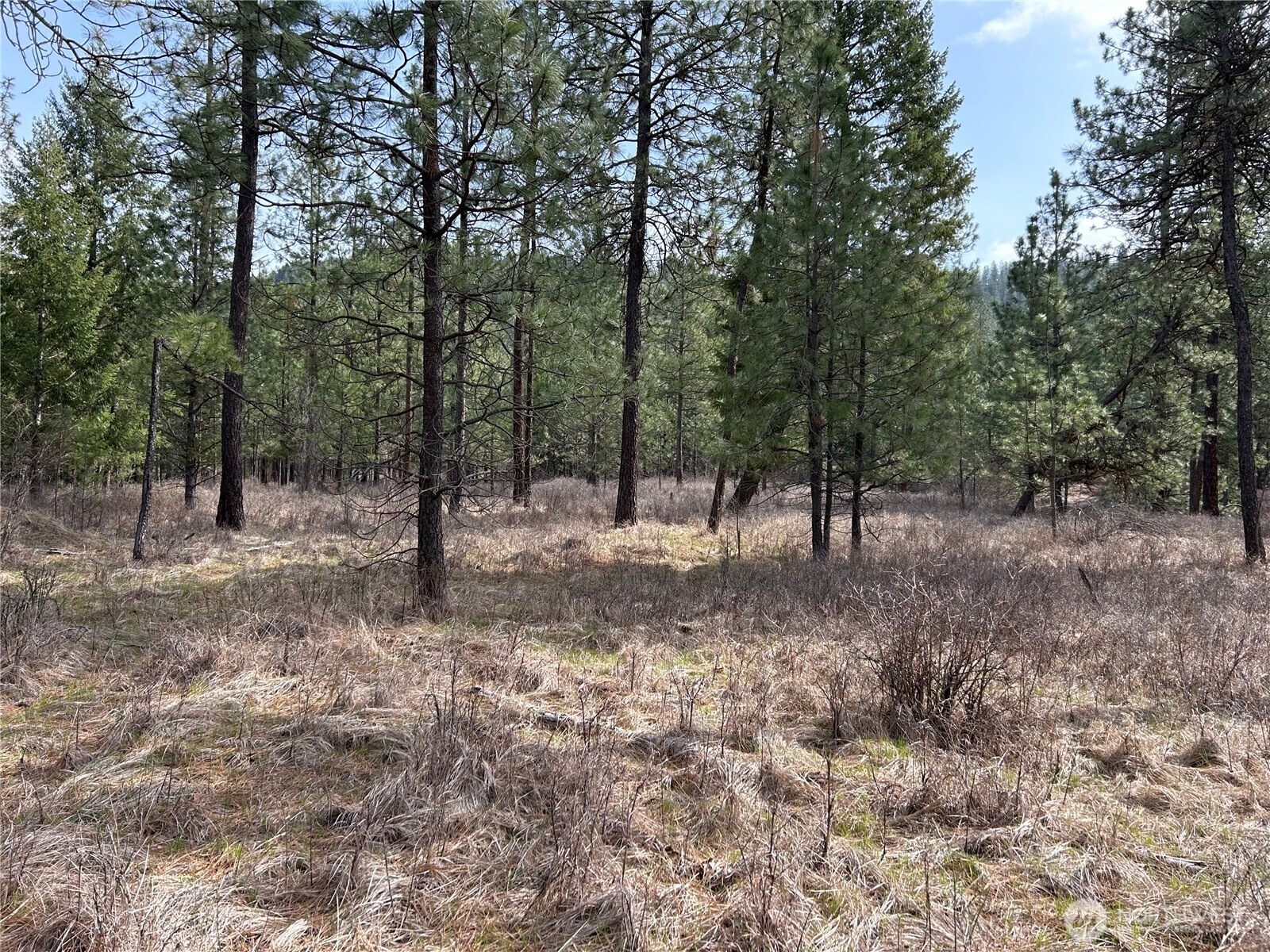 5491 Sailor Road M Property Photo 21