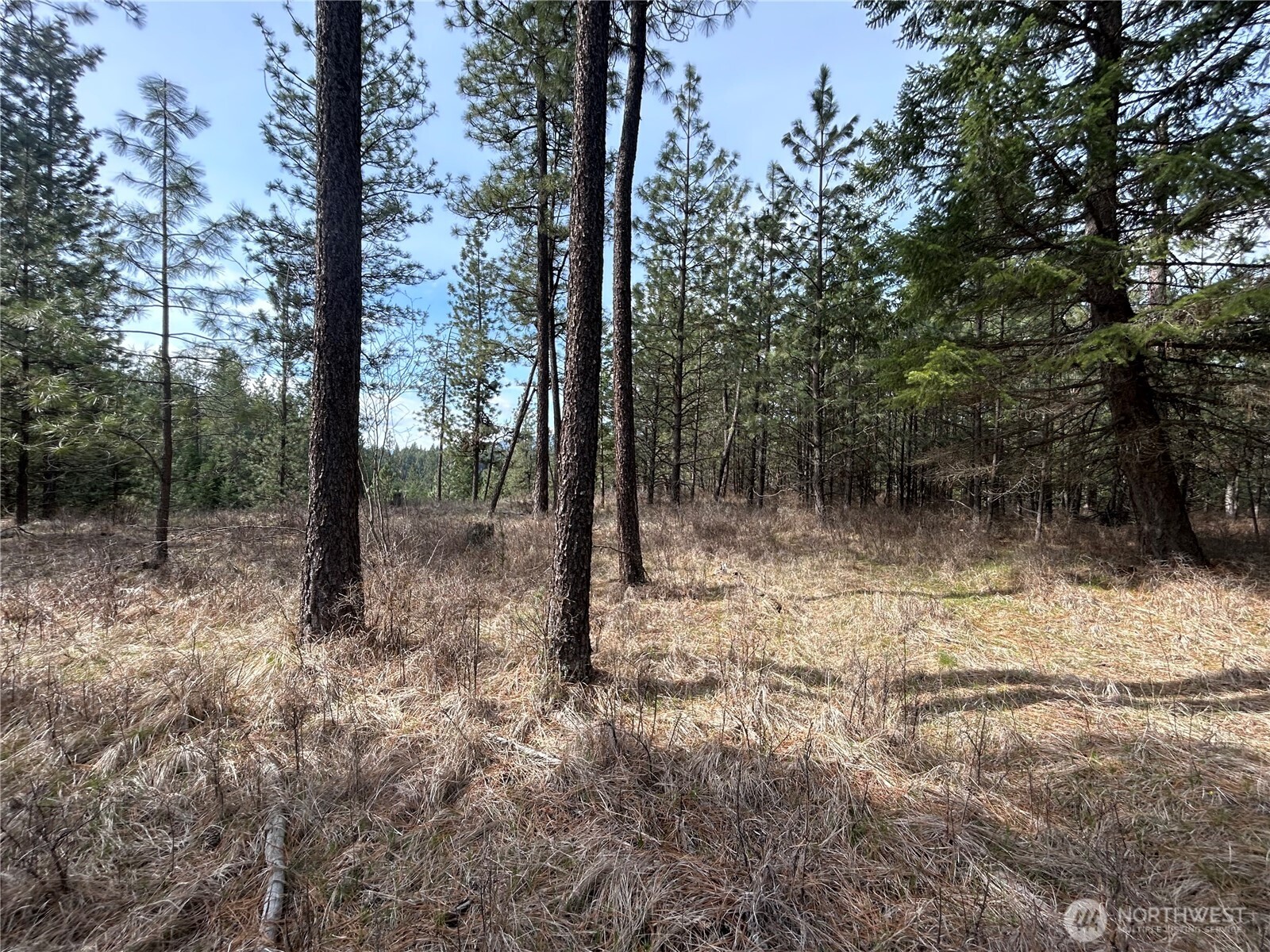 5491 Sailor Road M Property Photo 22