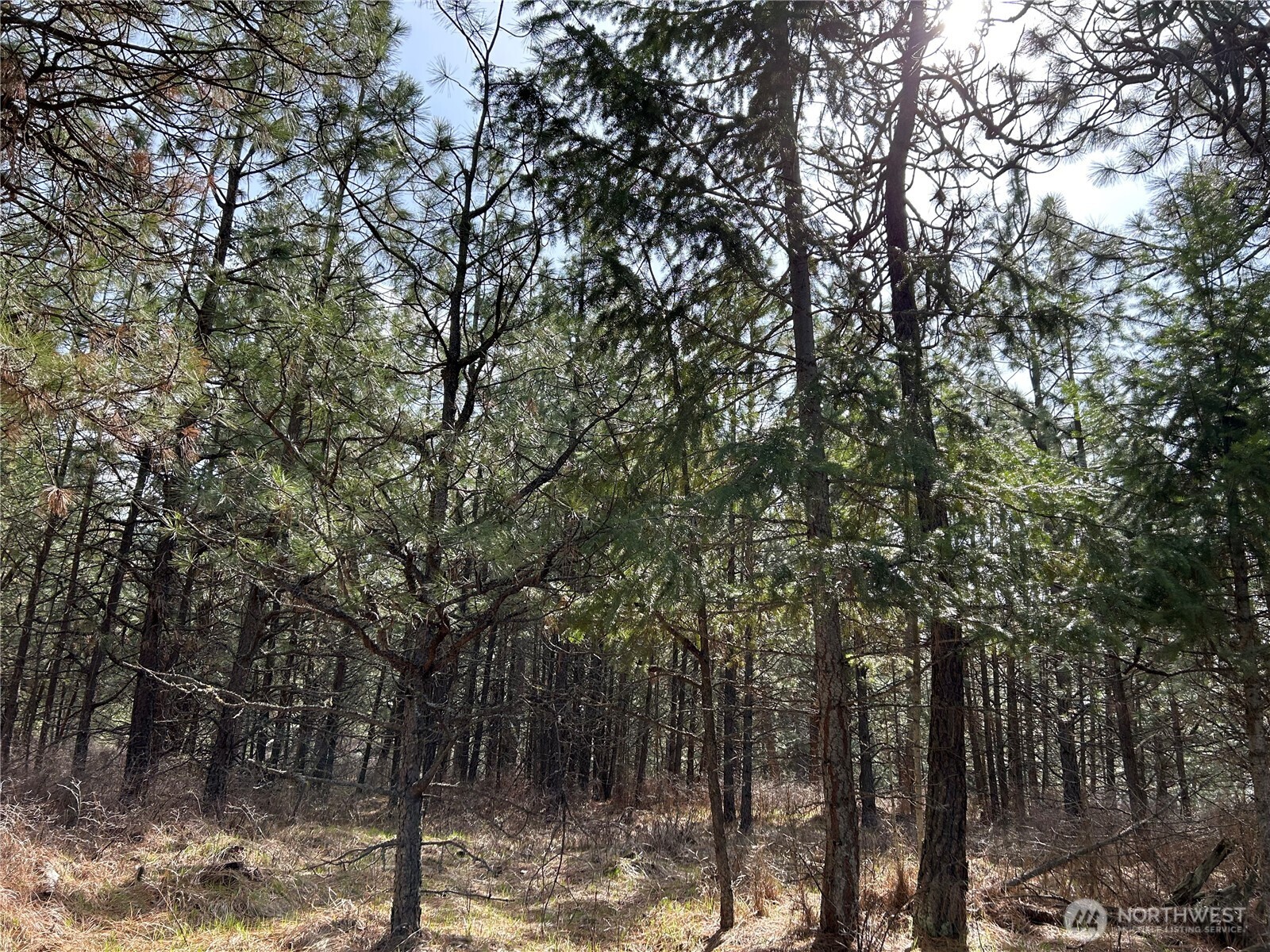 5491 Sailor Road M Property Photo 23