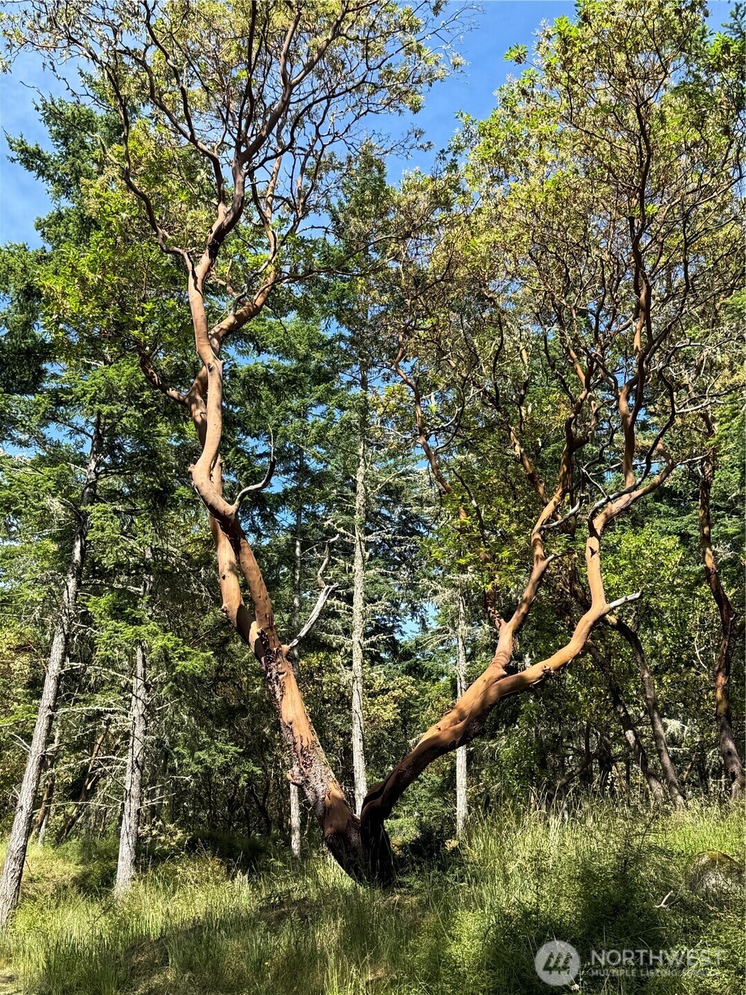 0 Nordkapp Lane Property Photo 13