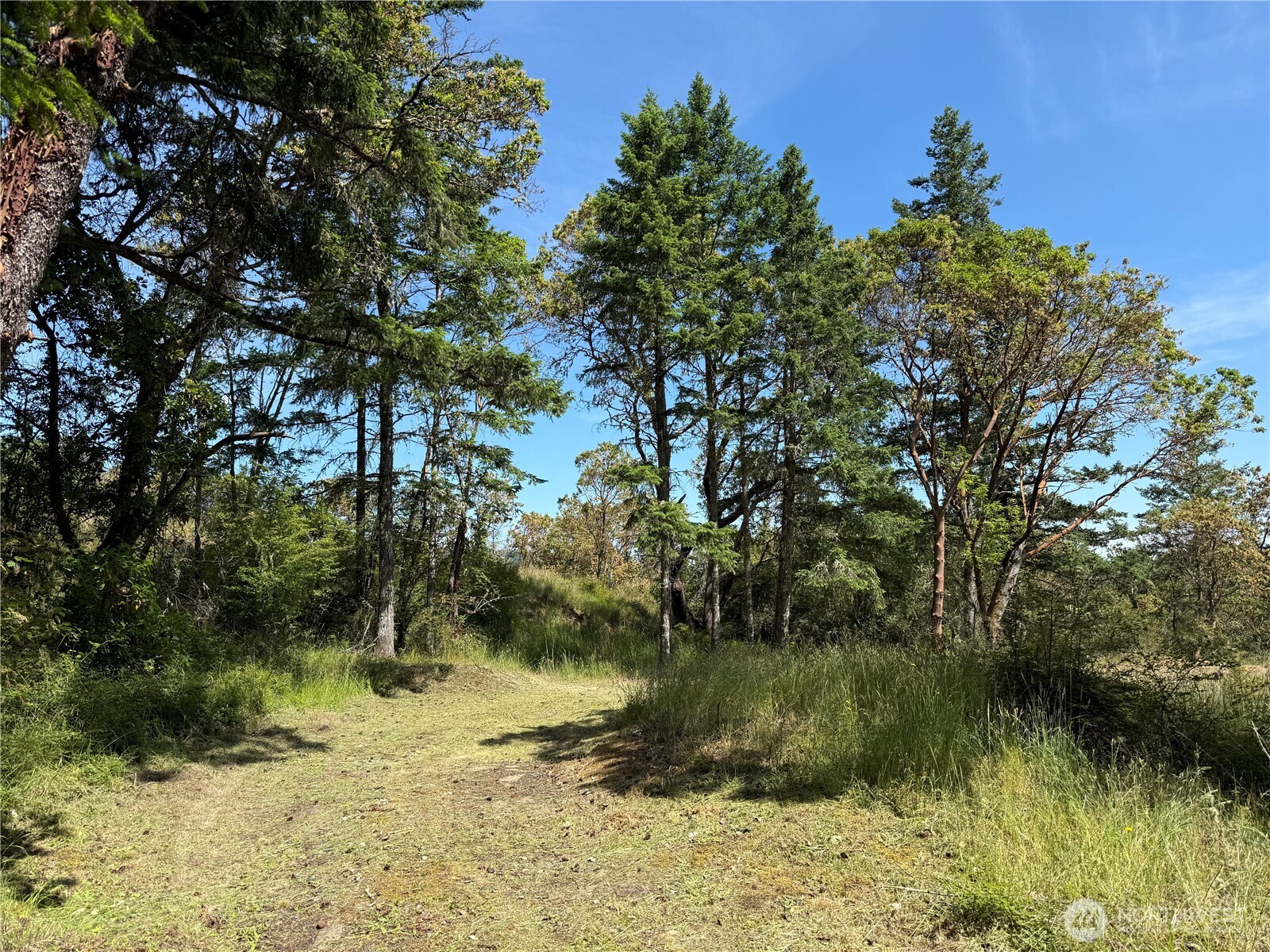 0 Nordkapp Lane Property Photo 6