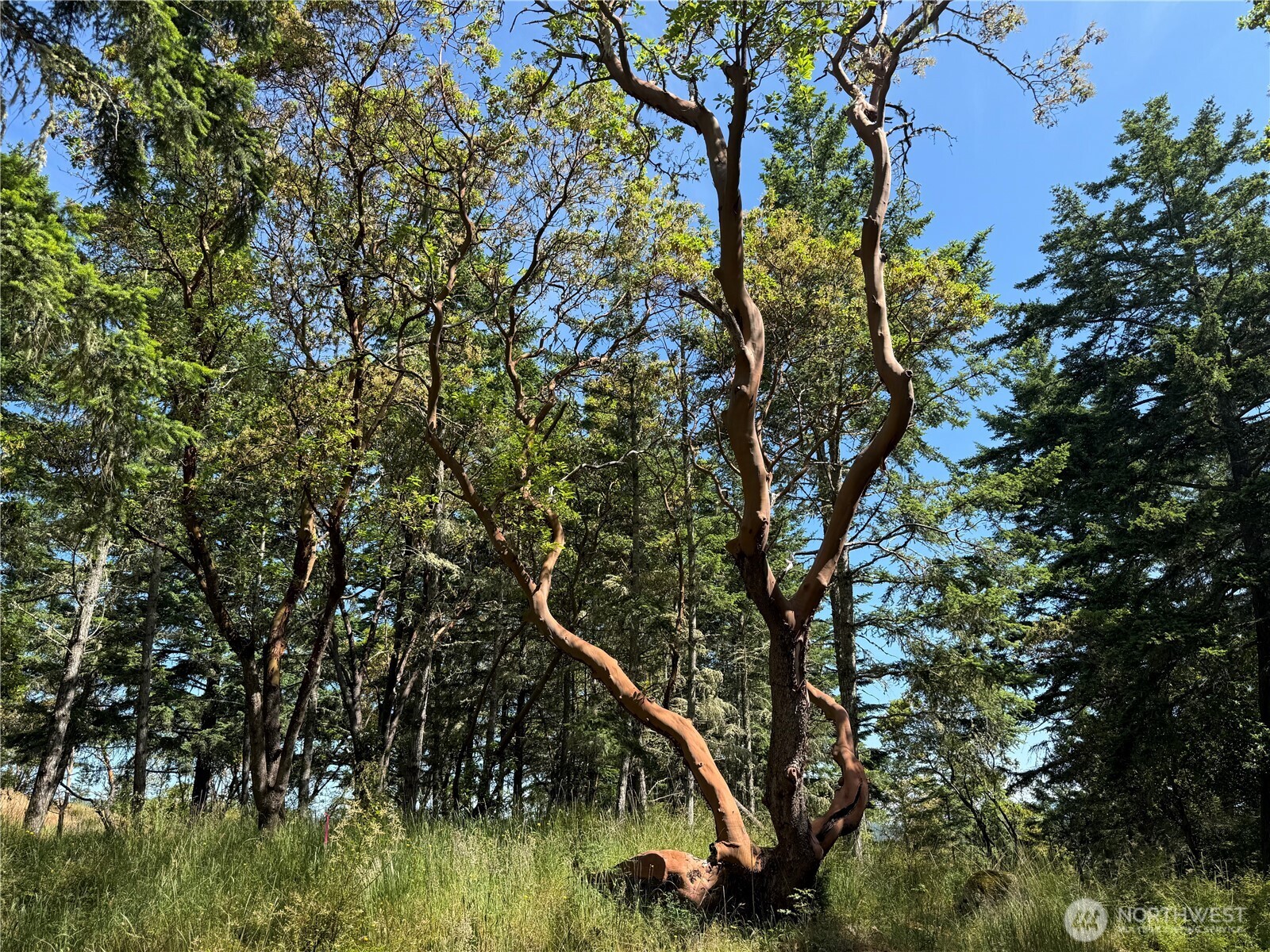 0 Nordkapp Lane Property Photo 7