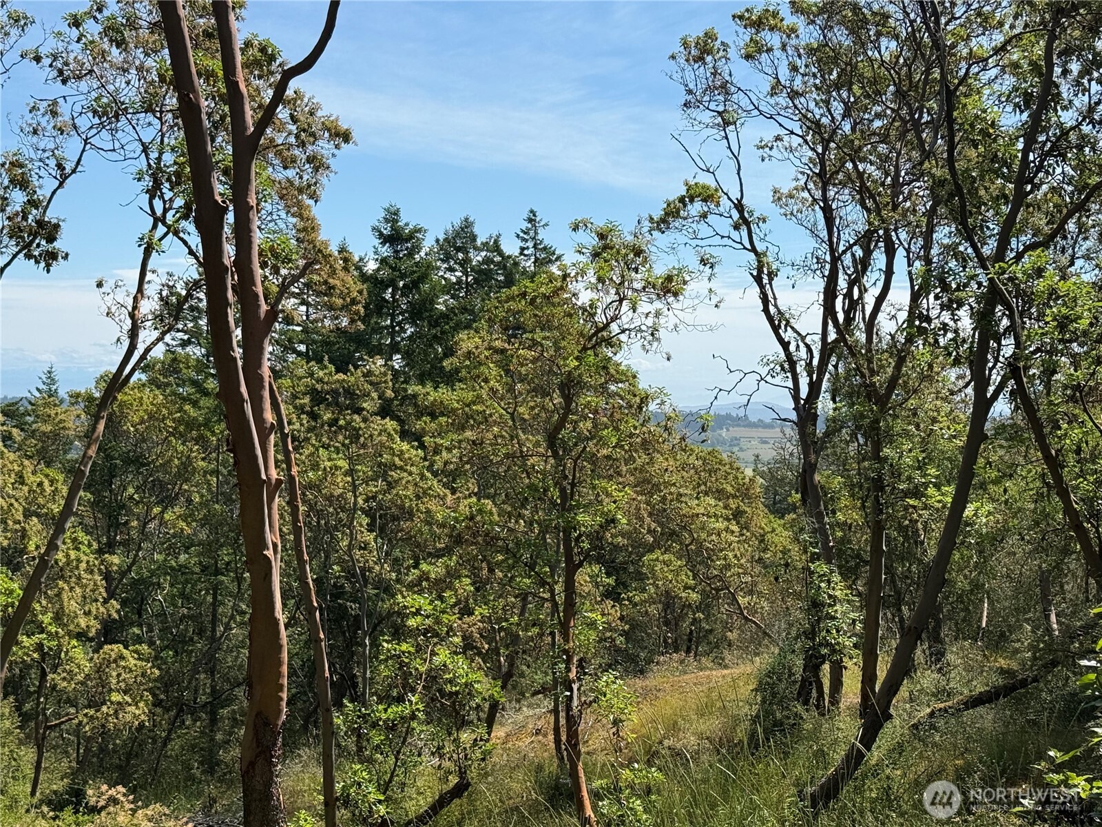 0 Nordkapp Lane Property Photo 8