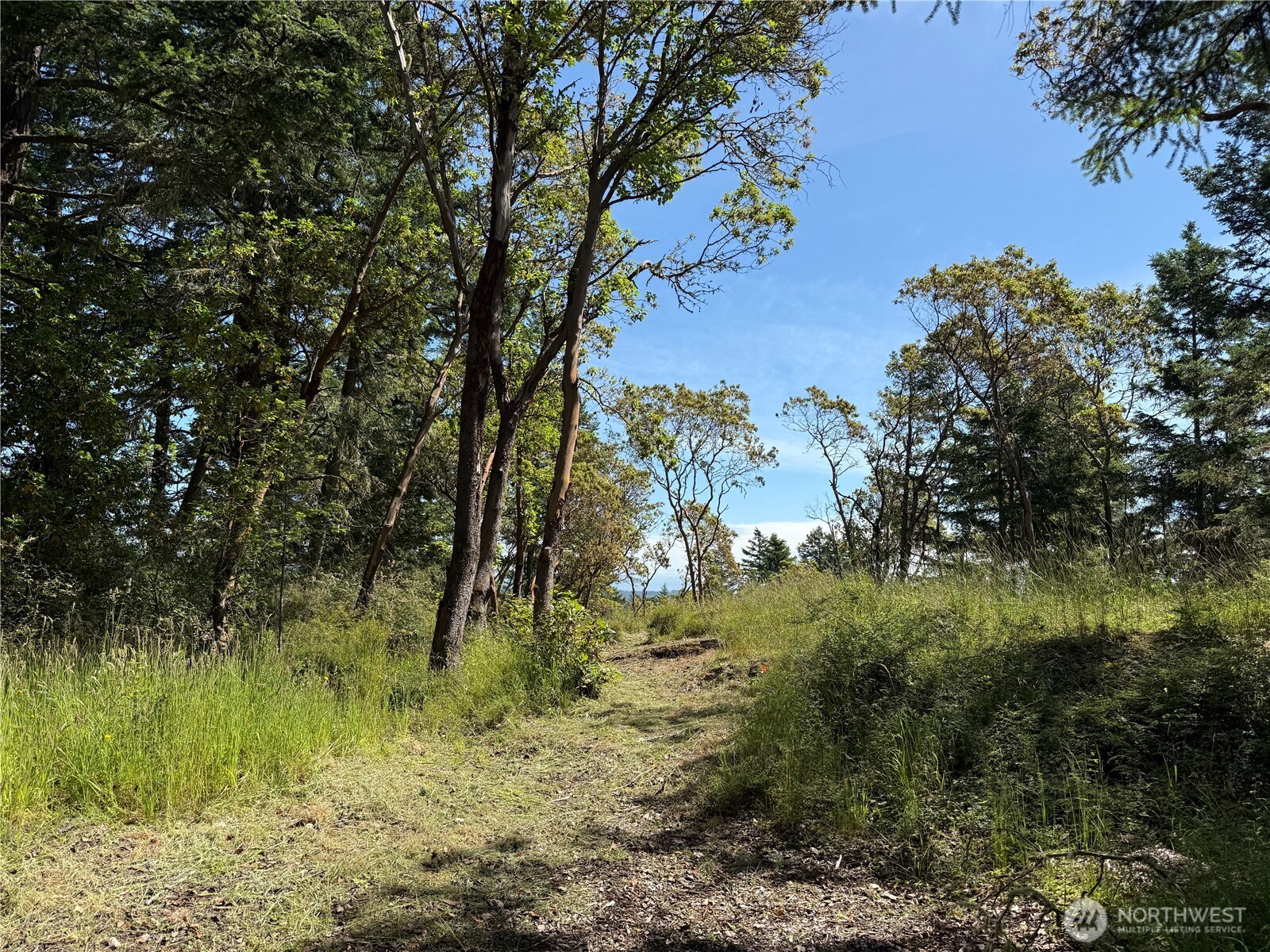 0 Nordkapp Lane Property Photo 9