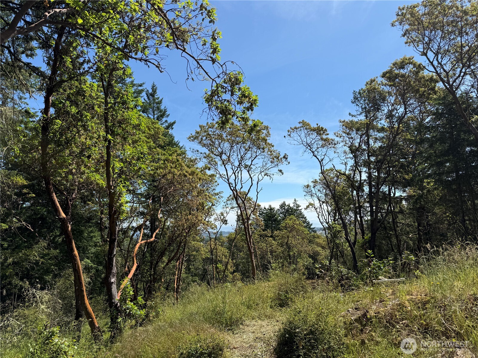 0 Nordkapp Lane Property Photo 10