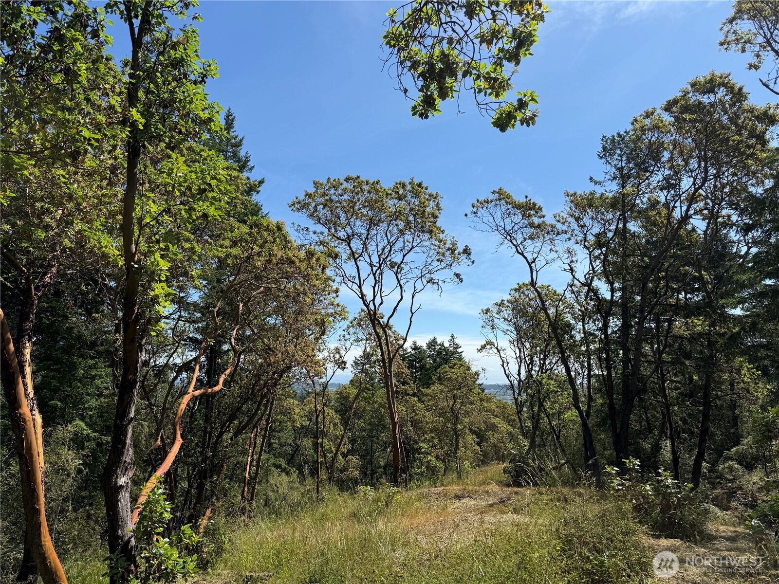 0 Nordkapp Lane Property Photo 11