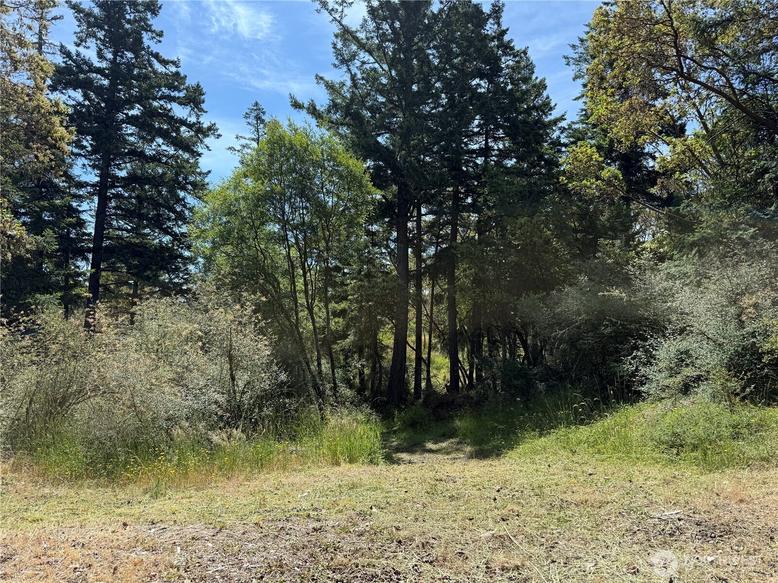 0 Nordkapp Lane Property Photo 15