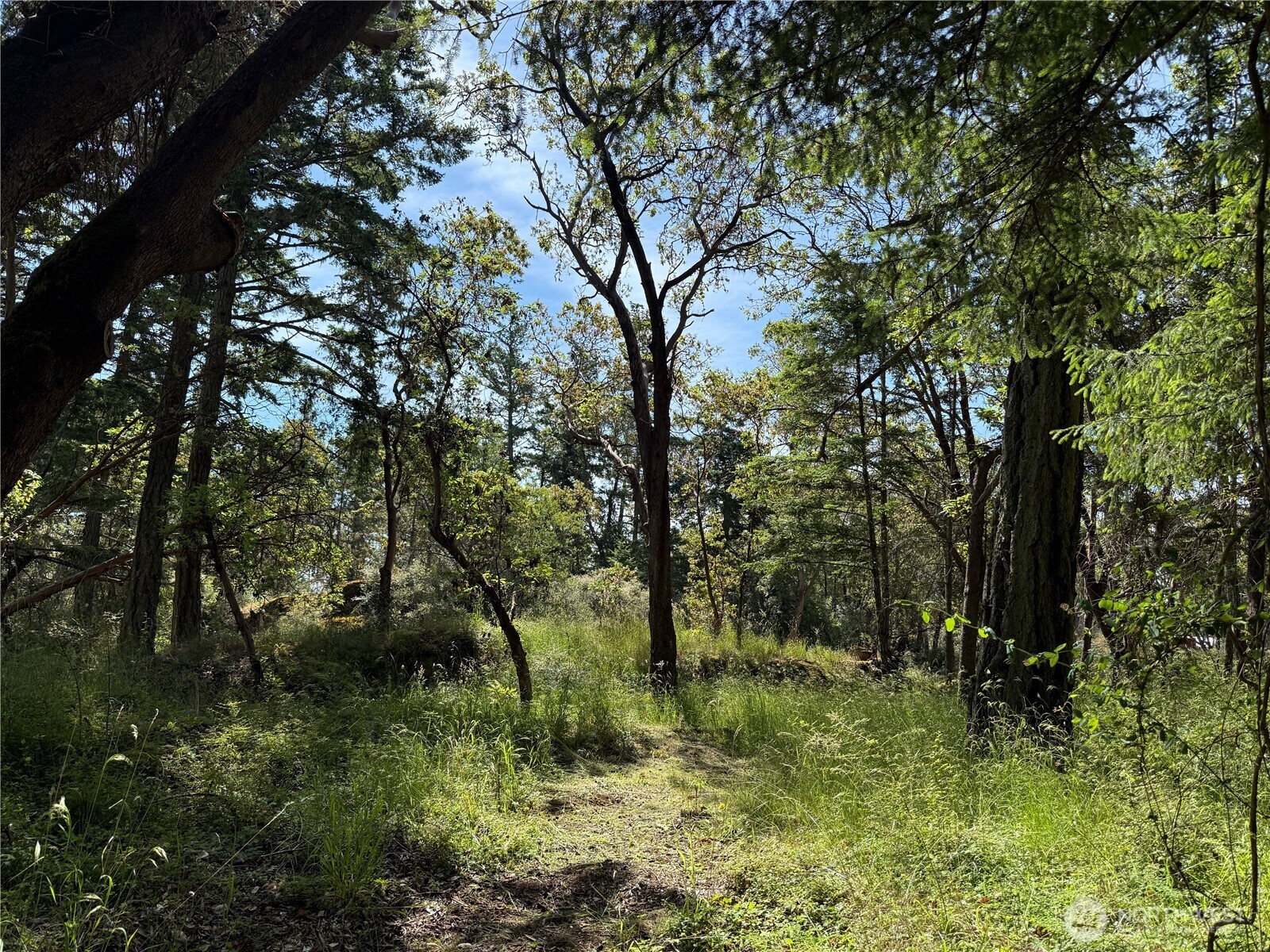 0 Nordkapp Lane Property Photo 16