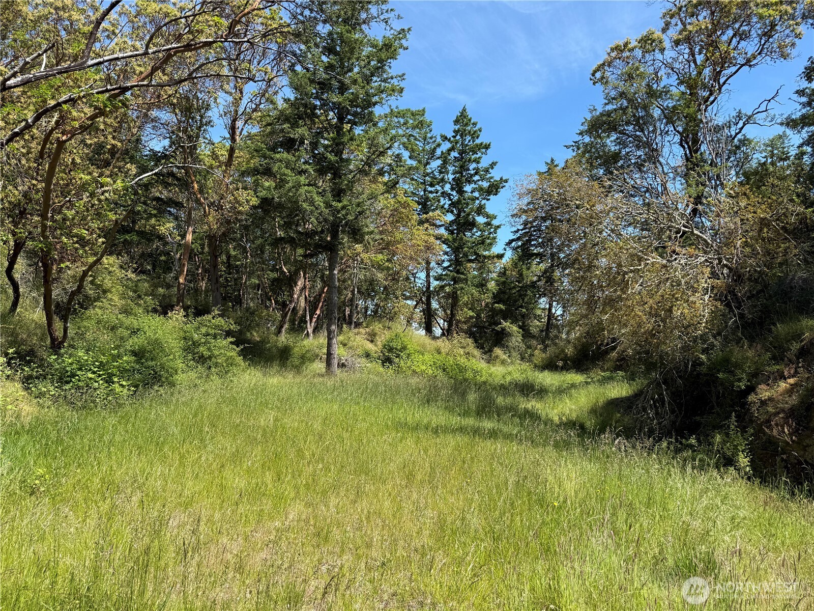 0 Nordkapp Lane Property Photo 17