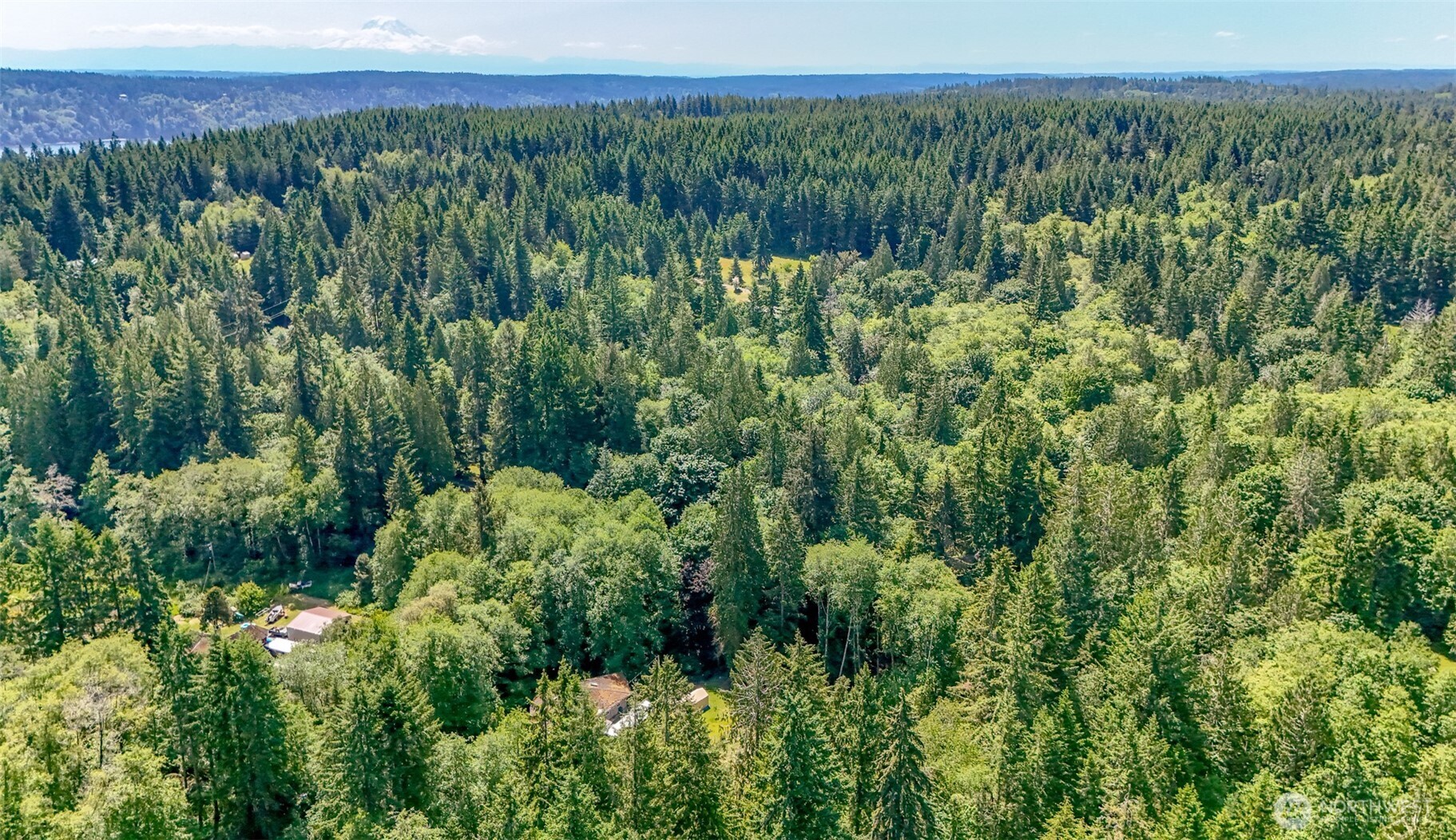 9904 Banner Road Property Photo 19