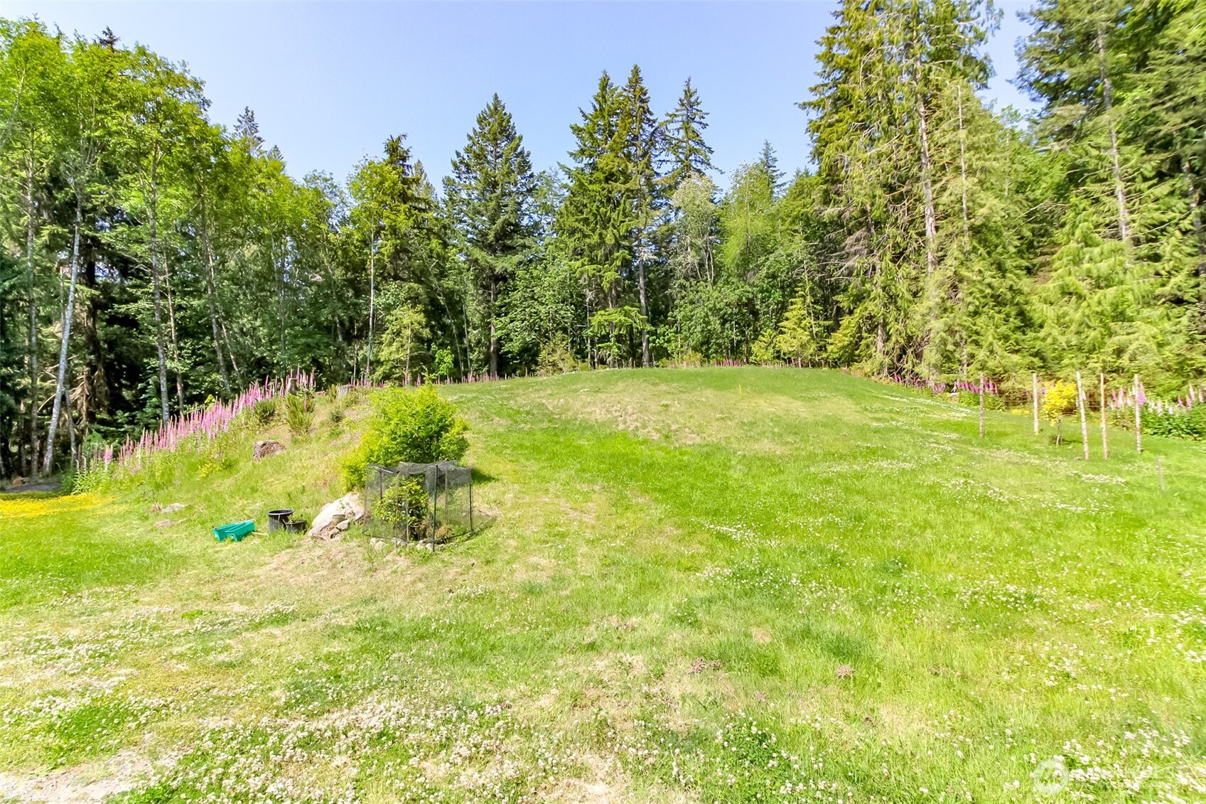 9904 Banner Road Property Photo 30