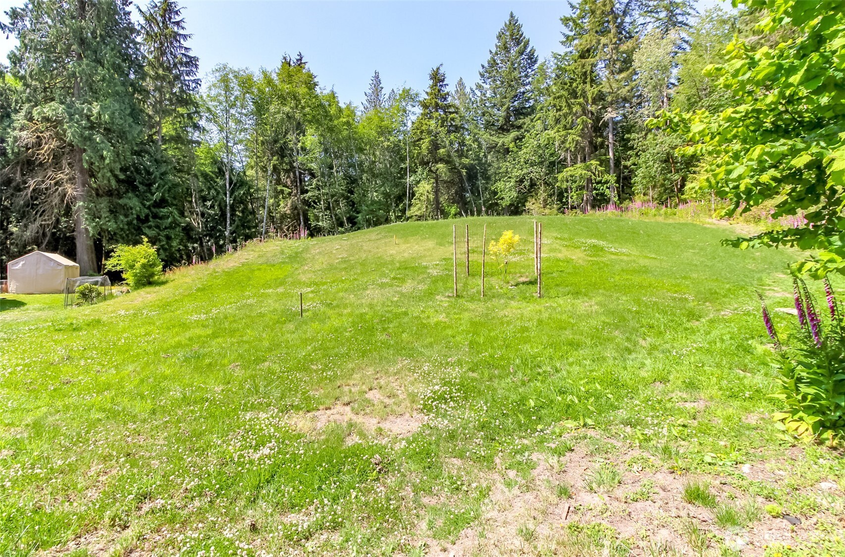 9904 Banner Road Property Photo 31