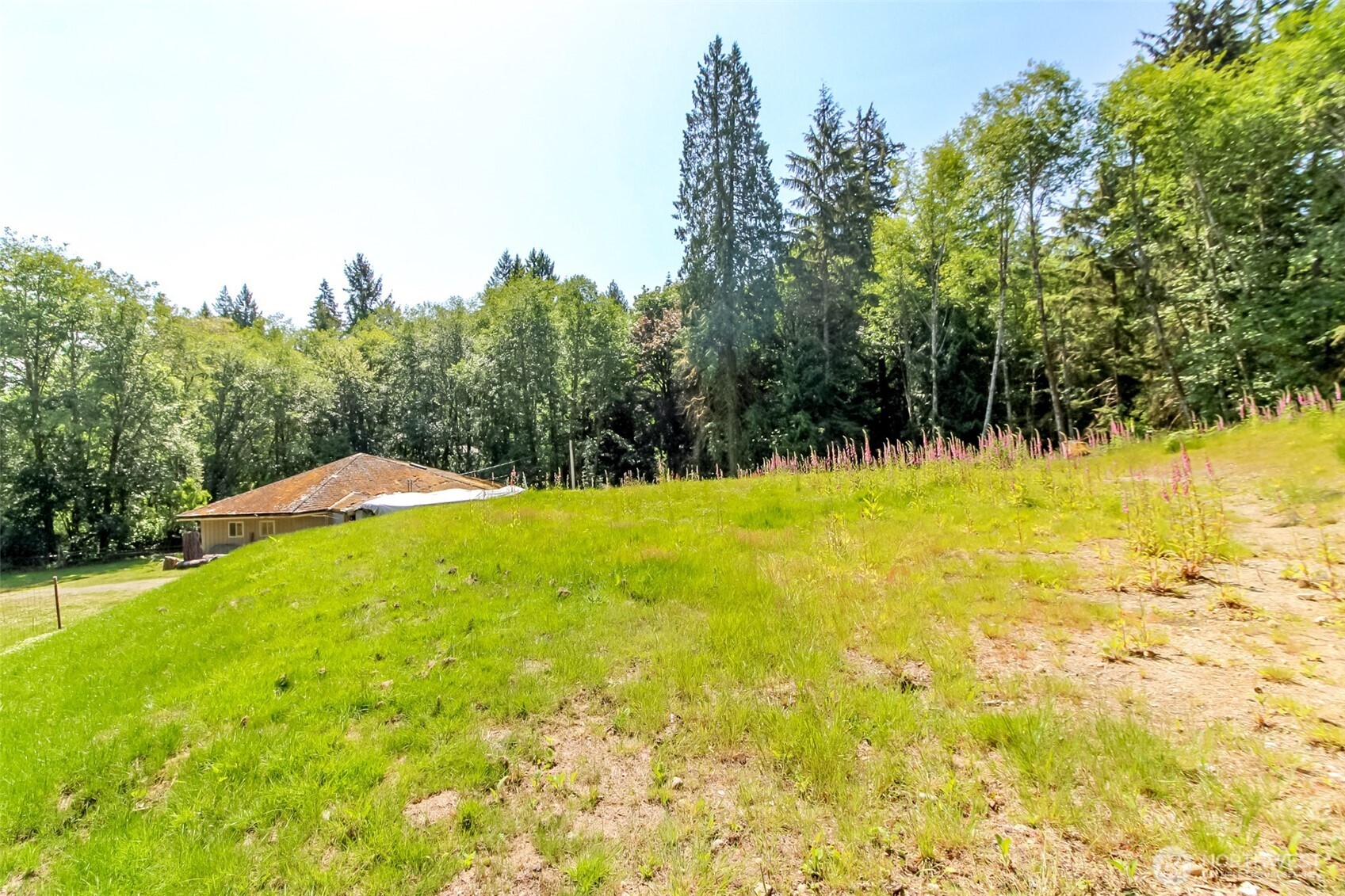 9904 Banner Road Property Photo 32