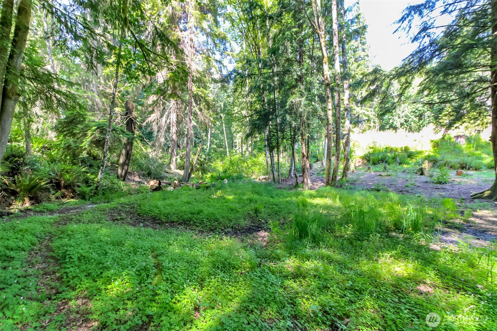 9904 Banner Road Property Photo 39