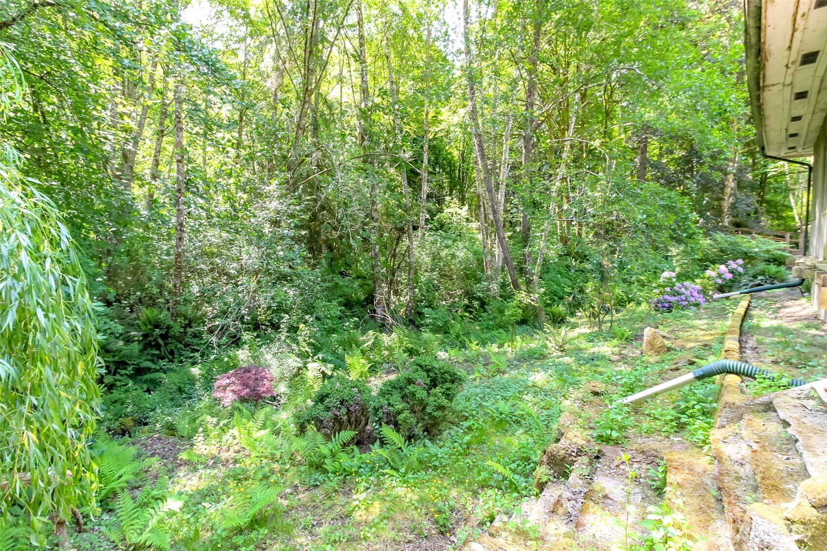 9904 Banner Road Property Photo 40