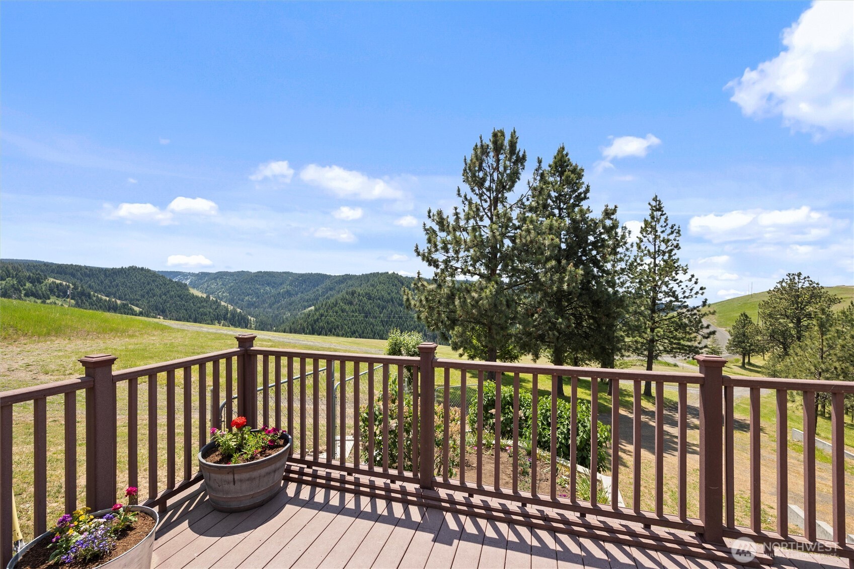 6379 Lewis Peak Road Property Photo 31