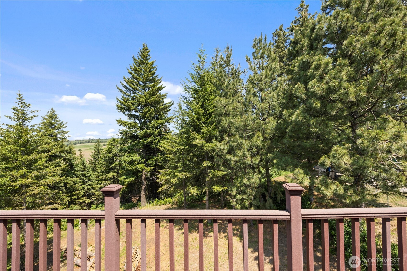 6379 Lewis Peak Road Property Photo 32